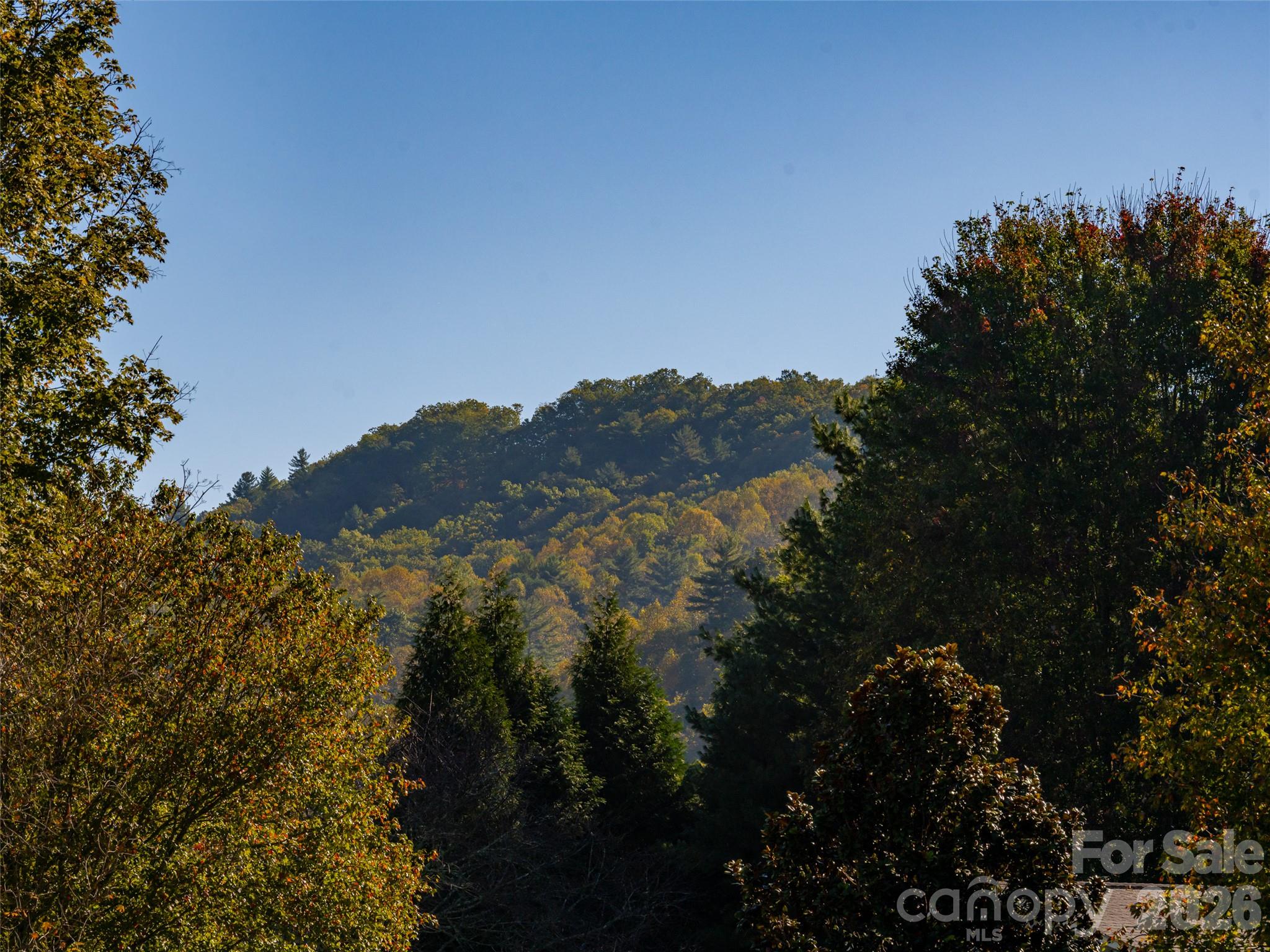 Fairview Mountain View - 47 Cane Creek Circle, Fairview