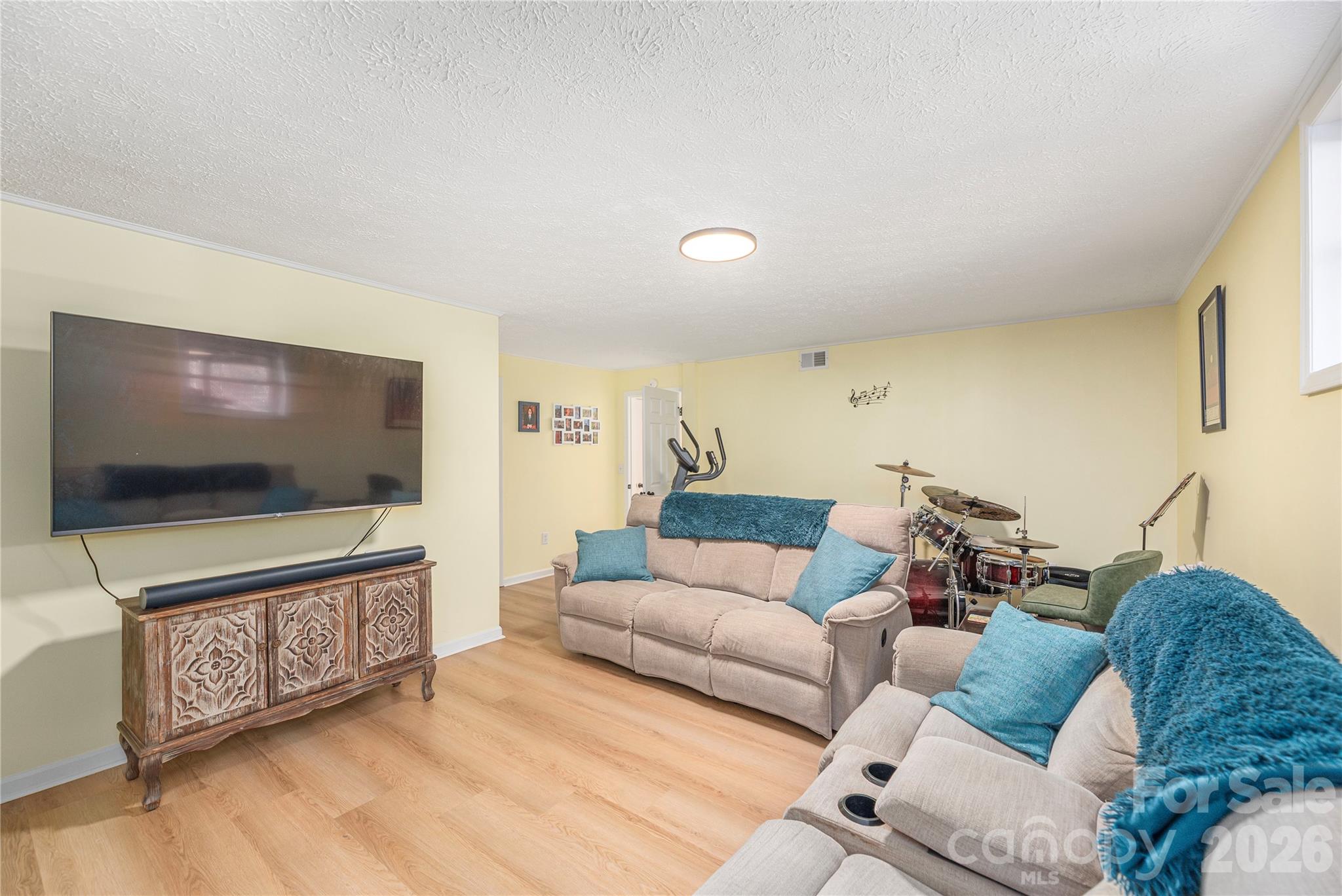 Entertainment bonus room on lower level - 330 Woody Lane, Asheville