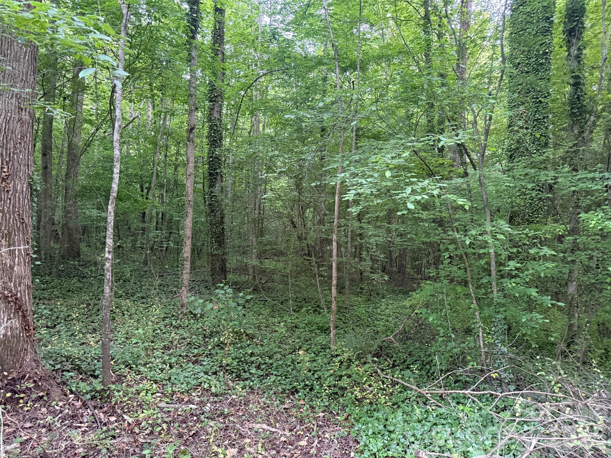 00 Winterhaven Road Road