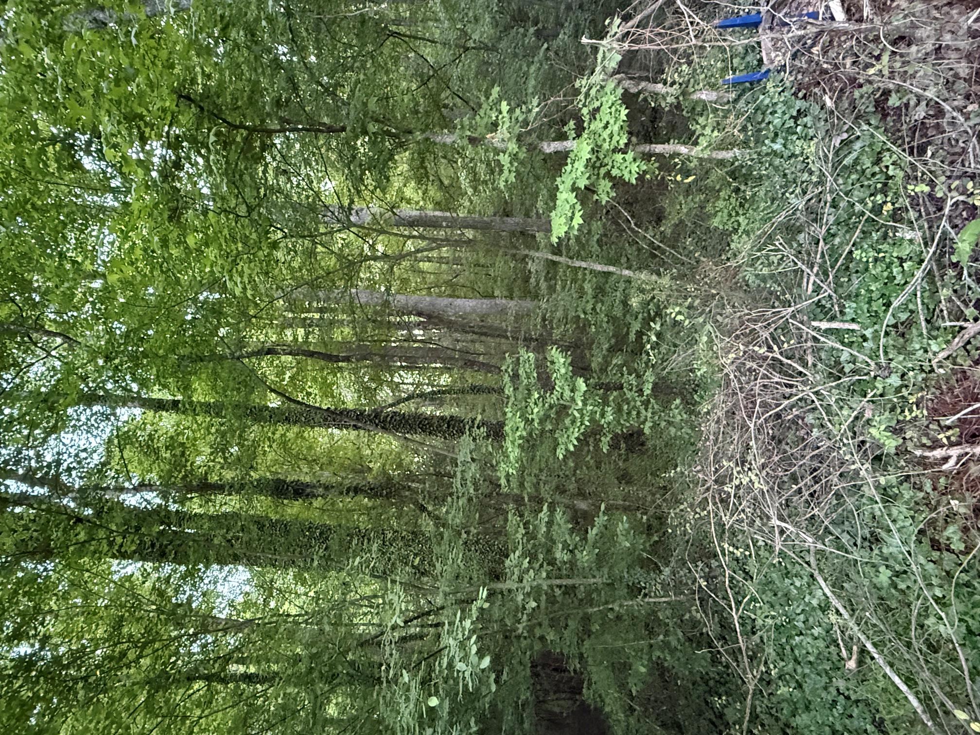Lot at 00 Winterhaven Road Road, Taylorsville, photo 5 of 6