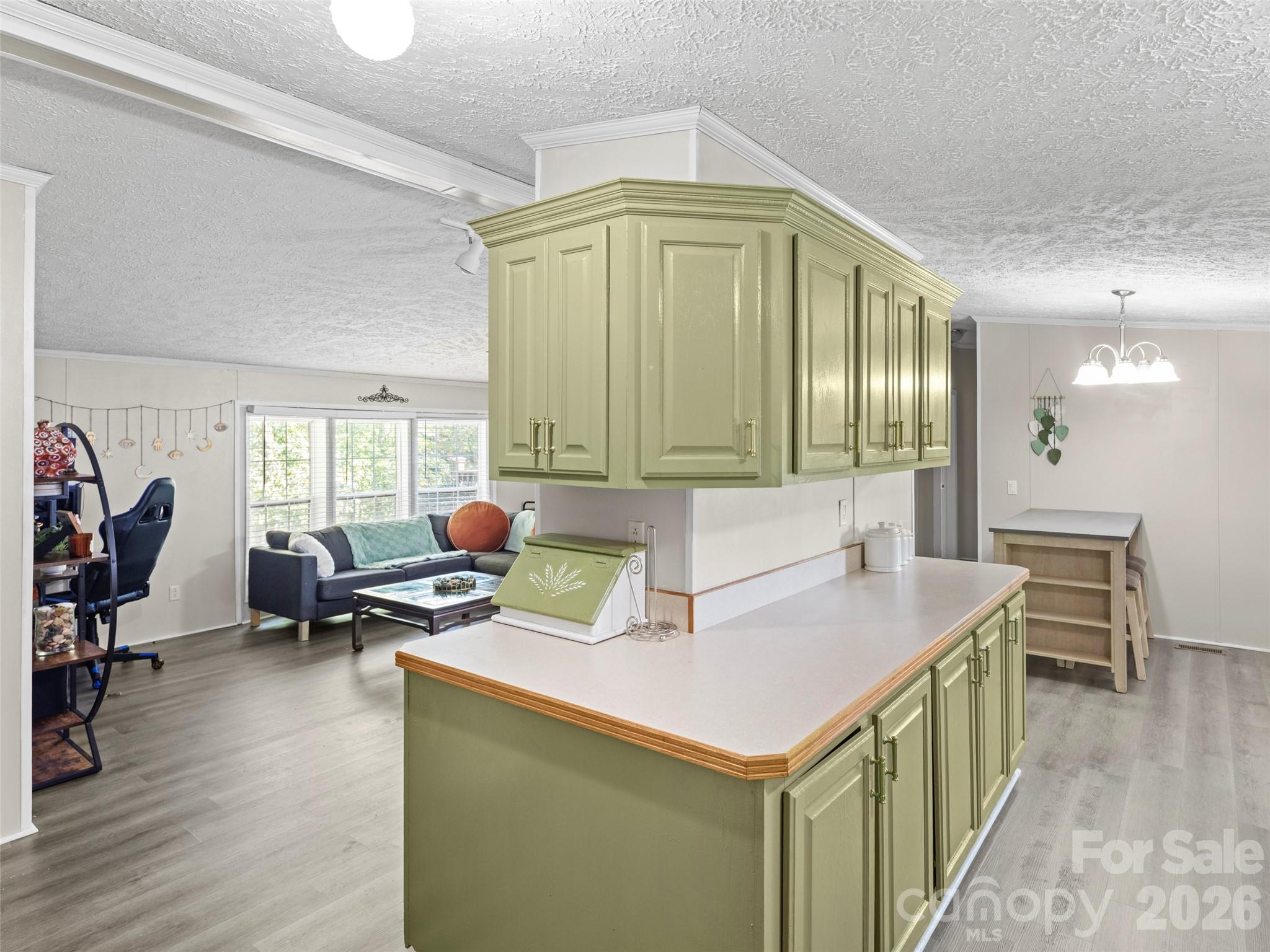 Single Family Residence at 115 Sleepy Forest Drive, Leicester, photo 10 of 26