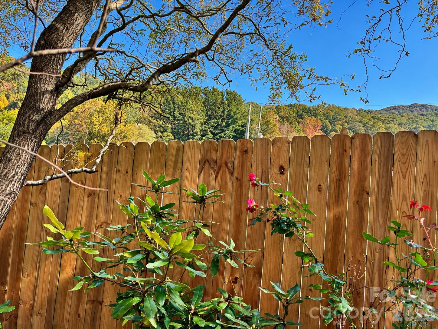 Single Family Residence at 12 Nature Lane, Waynesville, photo 11 of 30