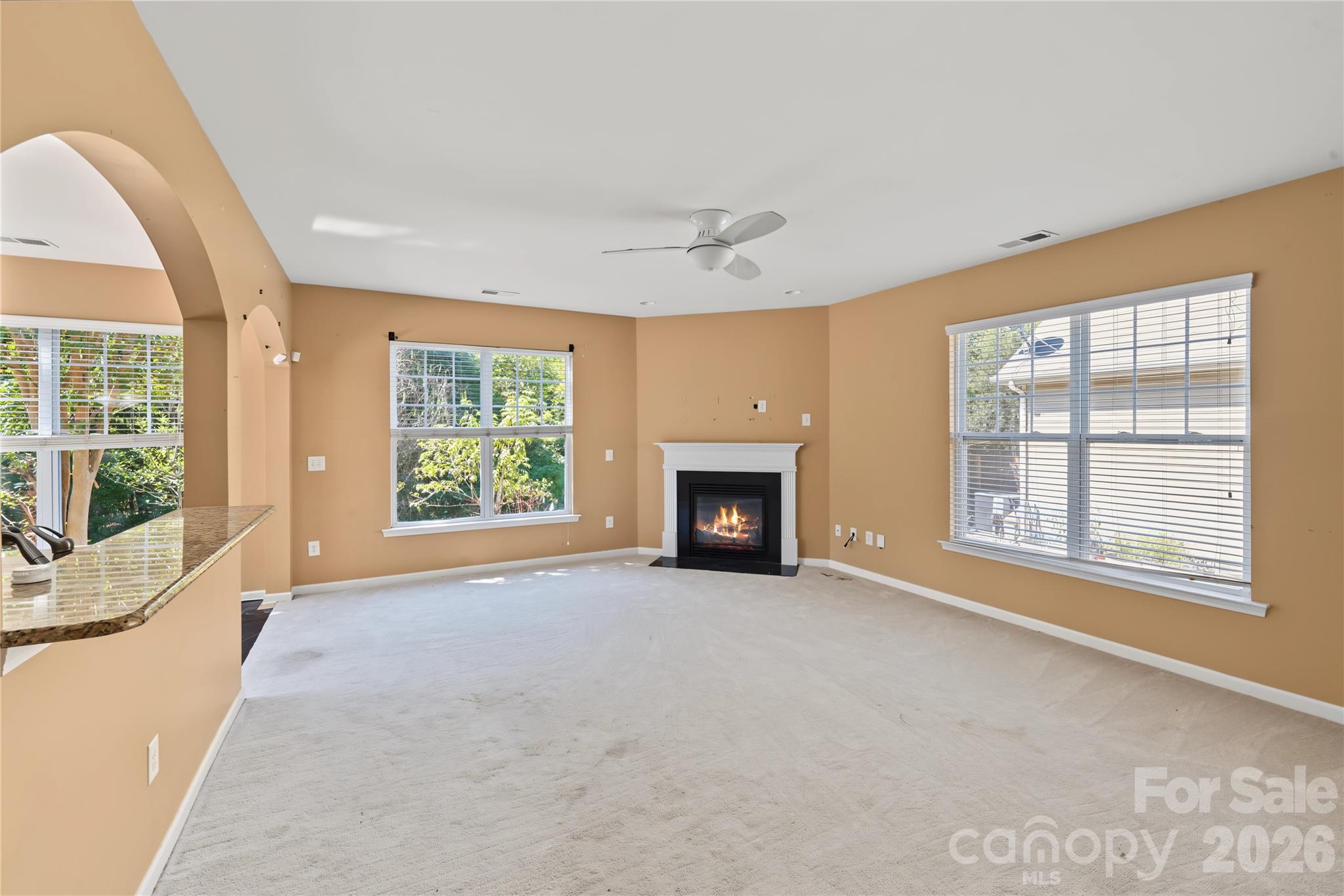 Single Family Residence at 9738 Loughlin Lane, Charlotte, photo 15 of 42