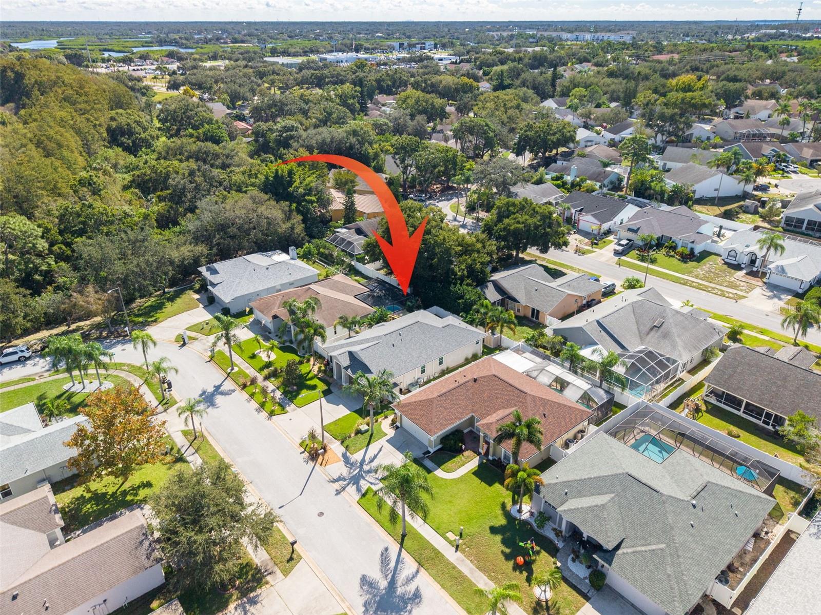 Single Family Residence at 724 SANDY HILLS AVE, TARPON SPRINGS, photo 32 of 38