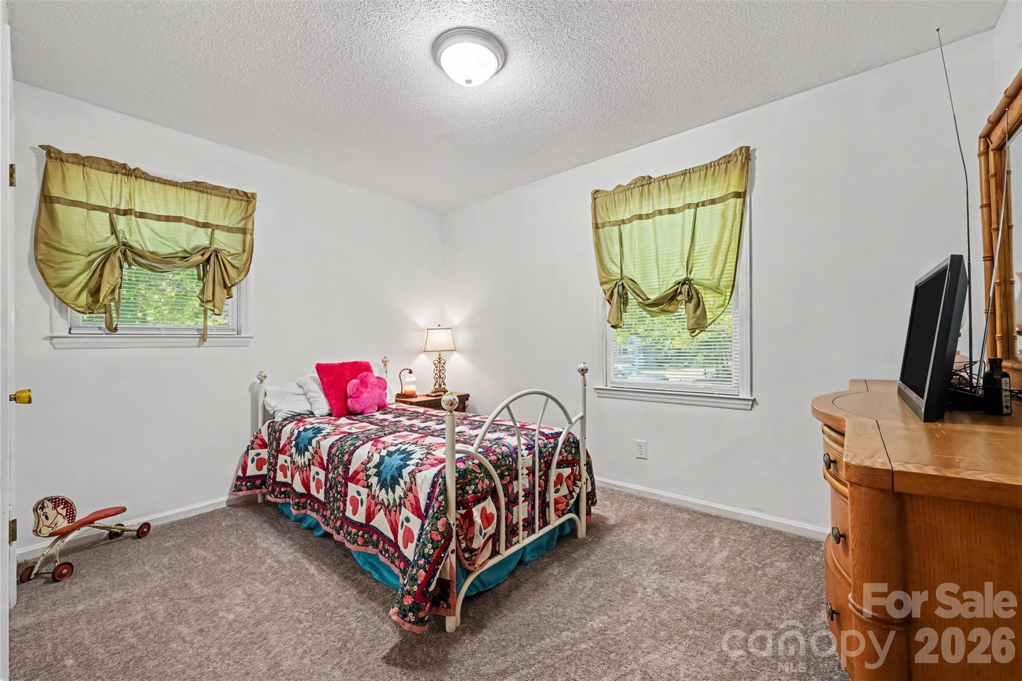 Single Family Residence at 3917 Lake Road, Charlotte, photo 11 of 20