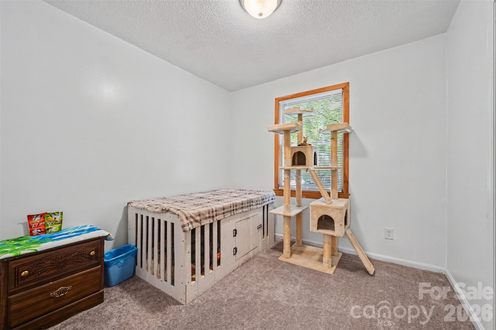 Single Family Residence at 3917 Lake Road, Charlotte, photo 12 of 20