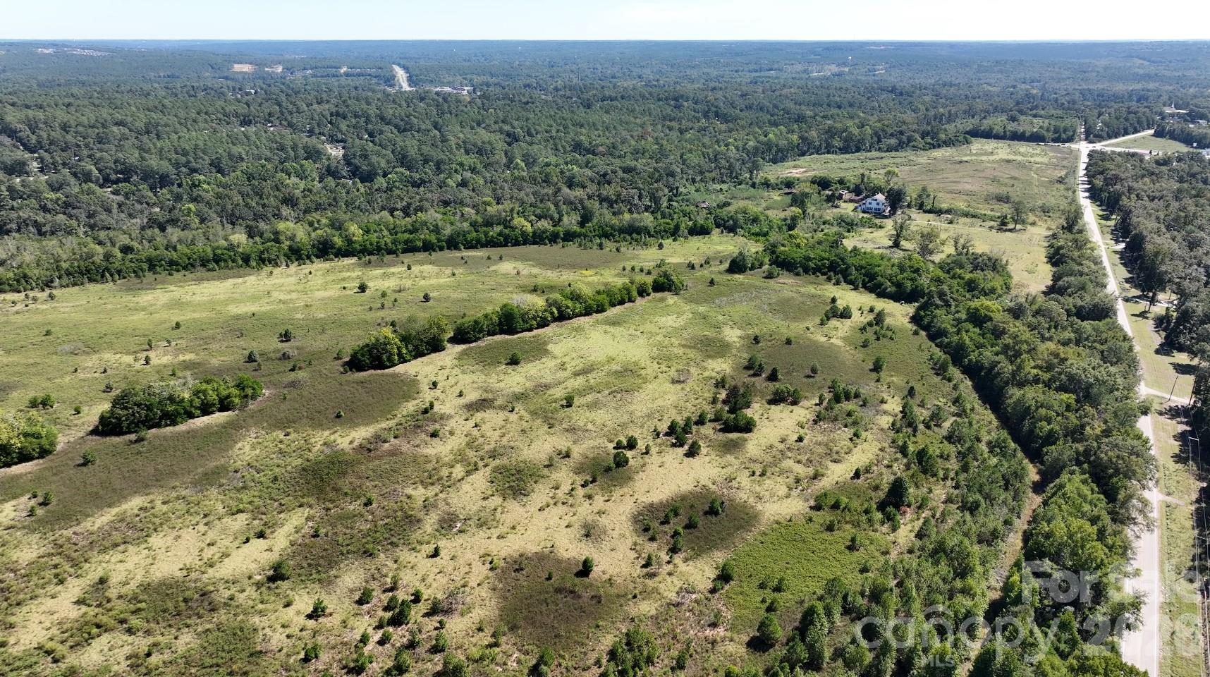 Gently rolling open land with existing tree lines. - 1001 Old Aiken Road, North Augusta
