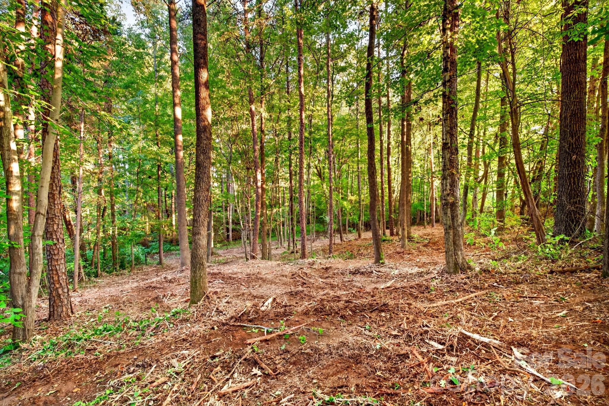 Acreage at 000 Seay Drive, Advance, photo 6 of 39