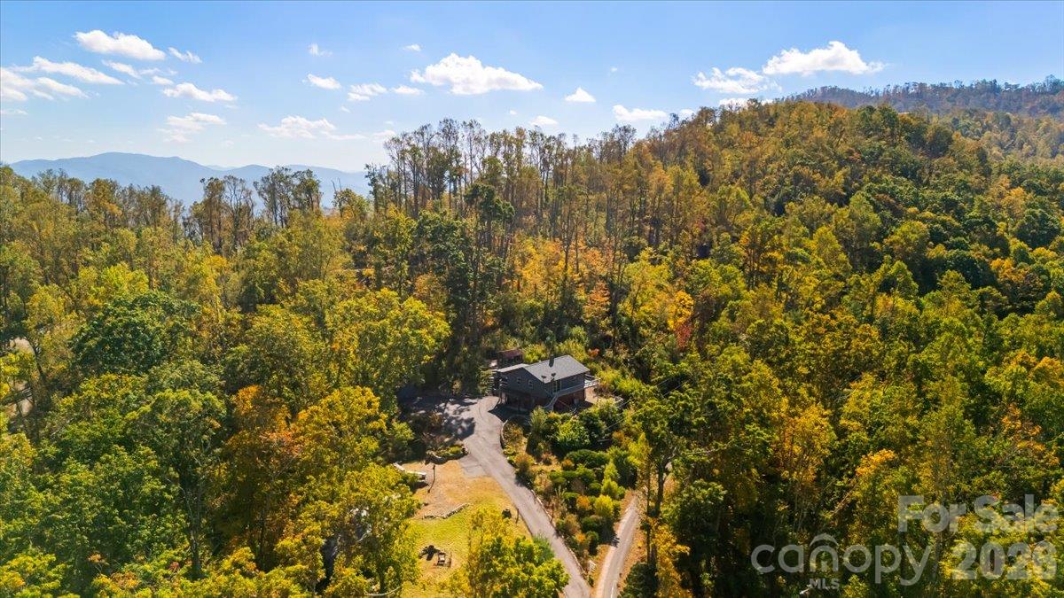 Single Family Residence at 854 Ox Creek Crest Lane, Weaverville, photo 41 of 43