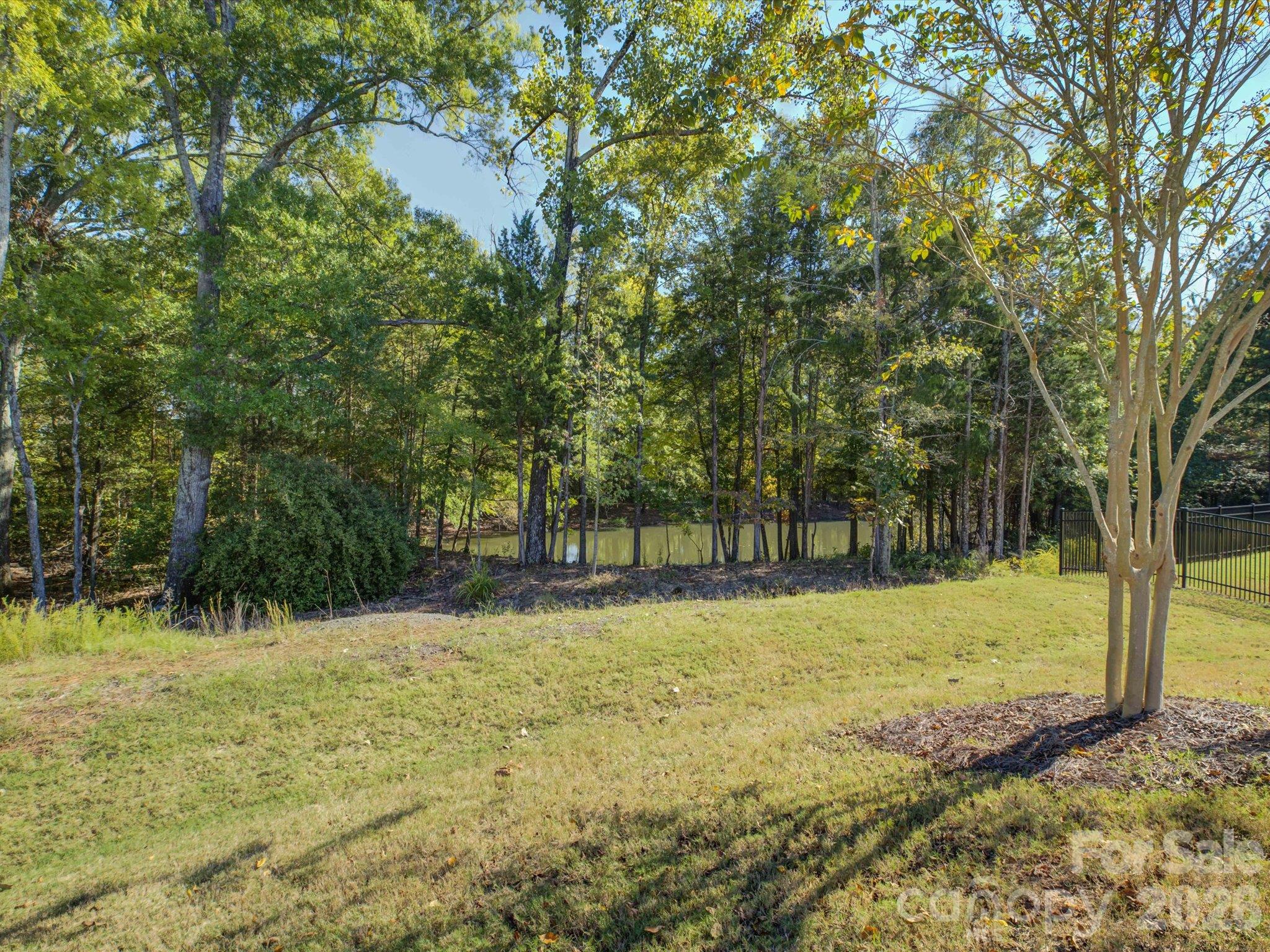 Single Family Residence at 12537 Belmont Mansion Drive, Charlotte, photo 46 of 51