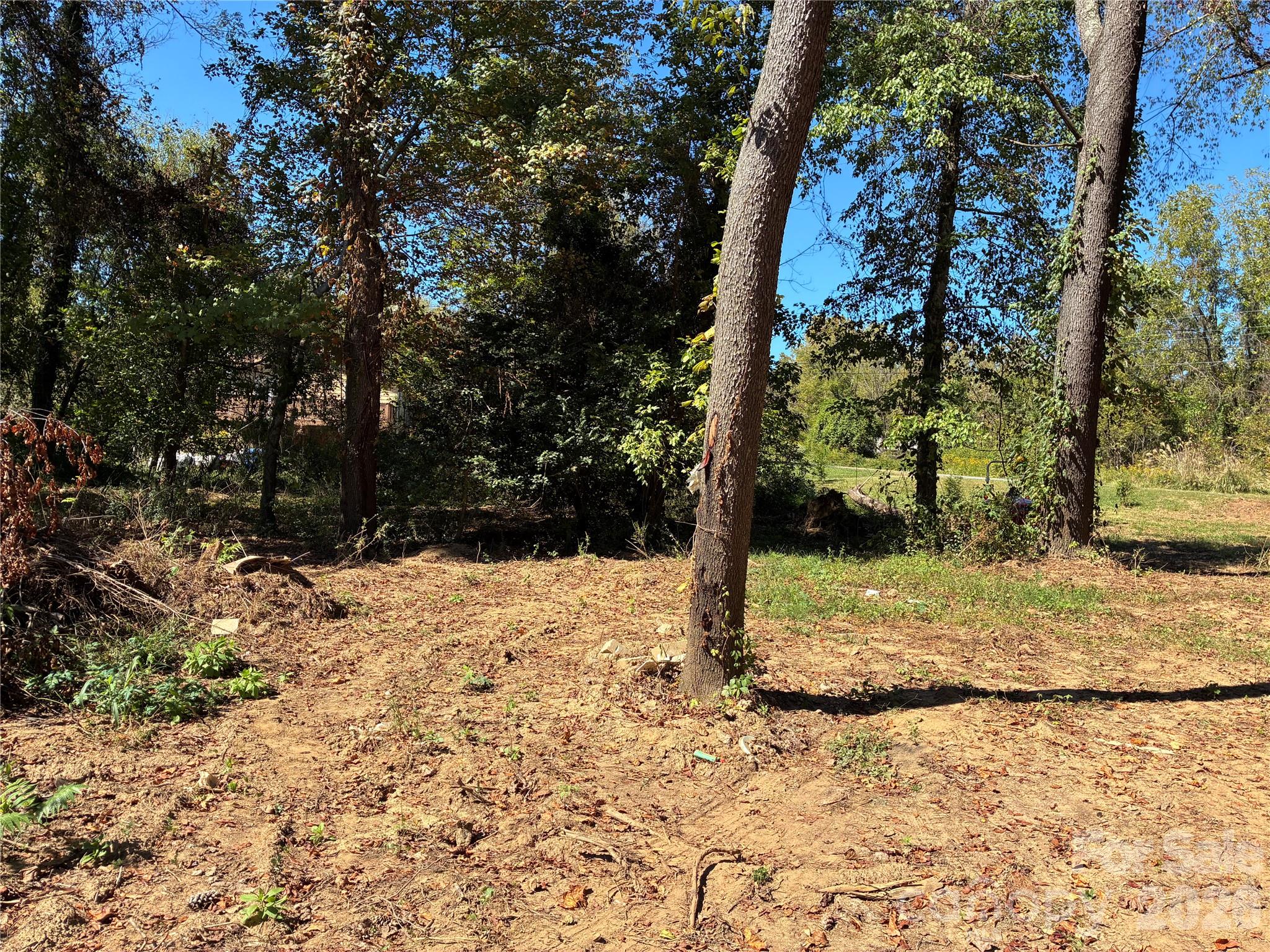 Lot at 233 Oakview Road, Asheville, photo 5 of 12