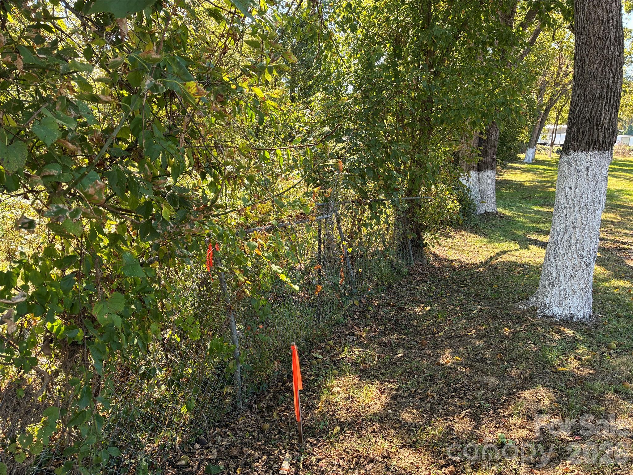Lot at 233 Oakview Road, Asheville, photo 10 of 12