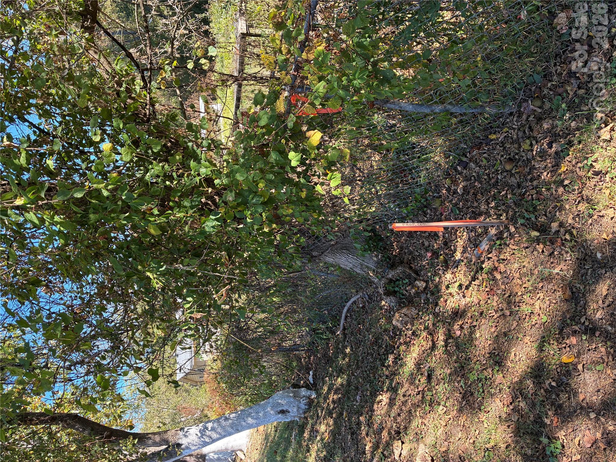 Lot at 233 Oakview Road, Asheville, photo 11 of 12