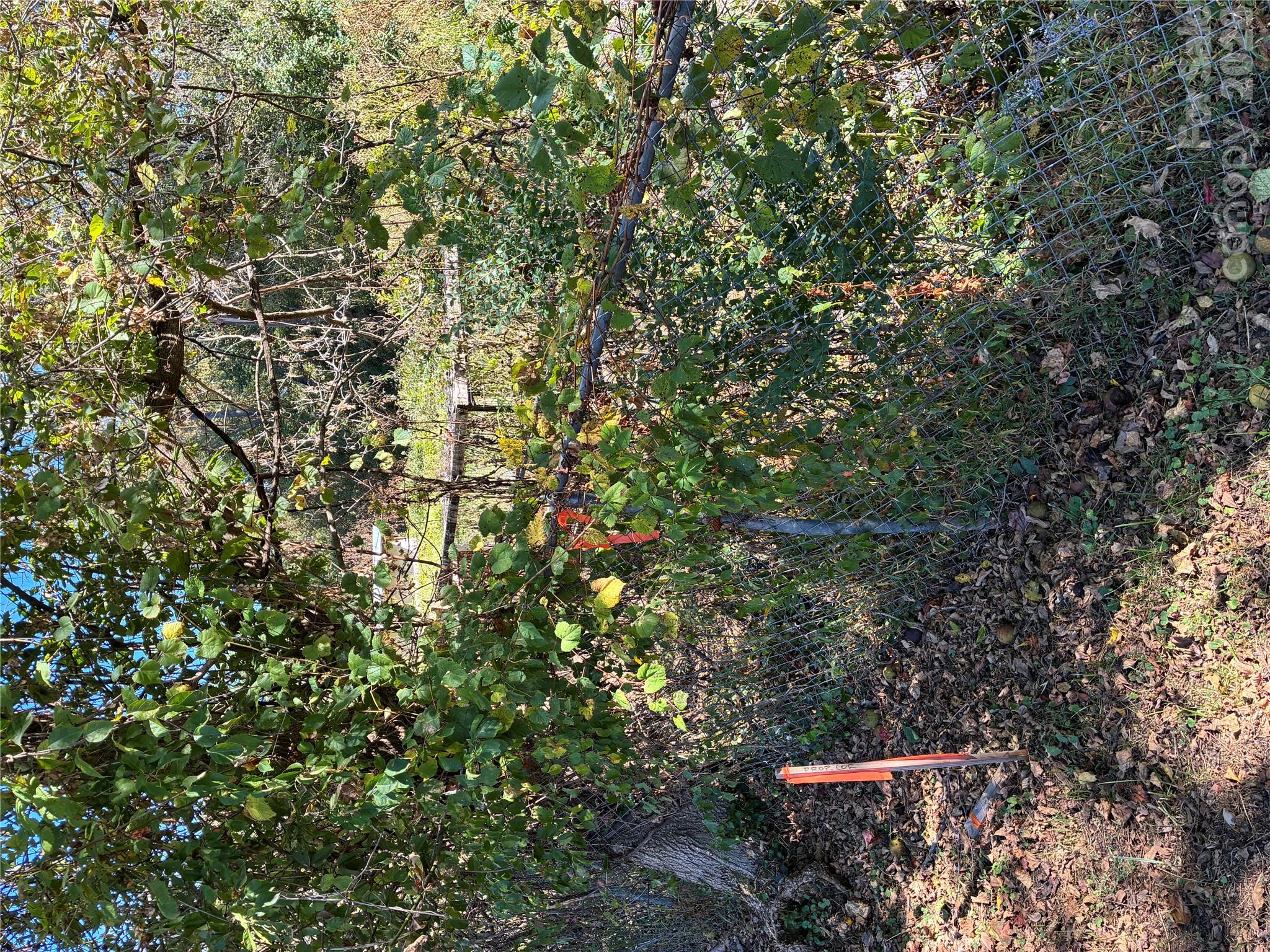 Lot at 233 Oakview Road, Asheville, photo 12 of 12