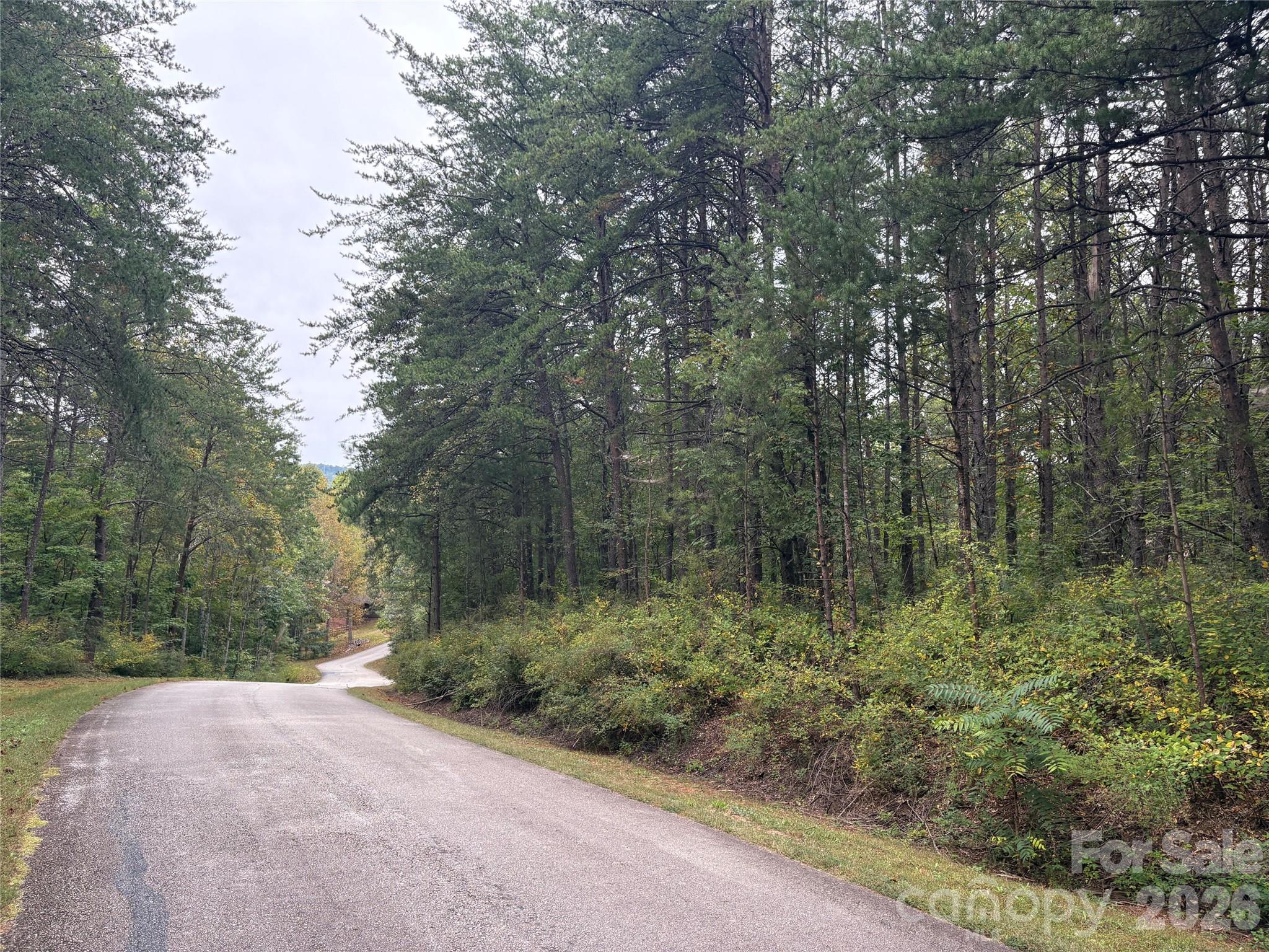 Lot at lot 19 Silent Forest Way, Lake Lure, photo 2 of 6