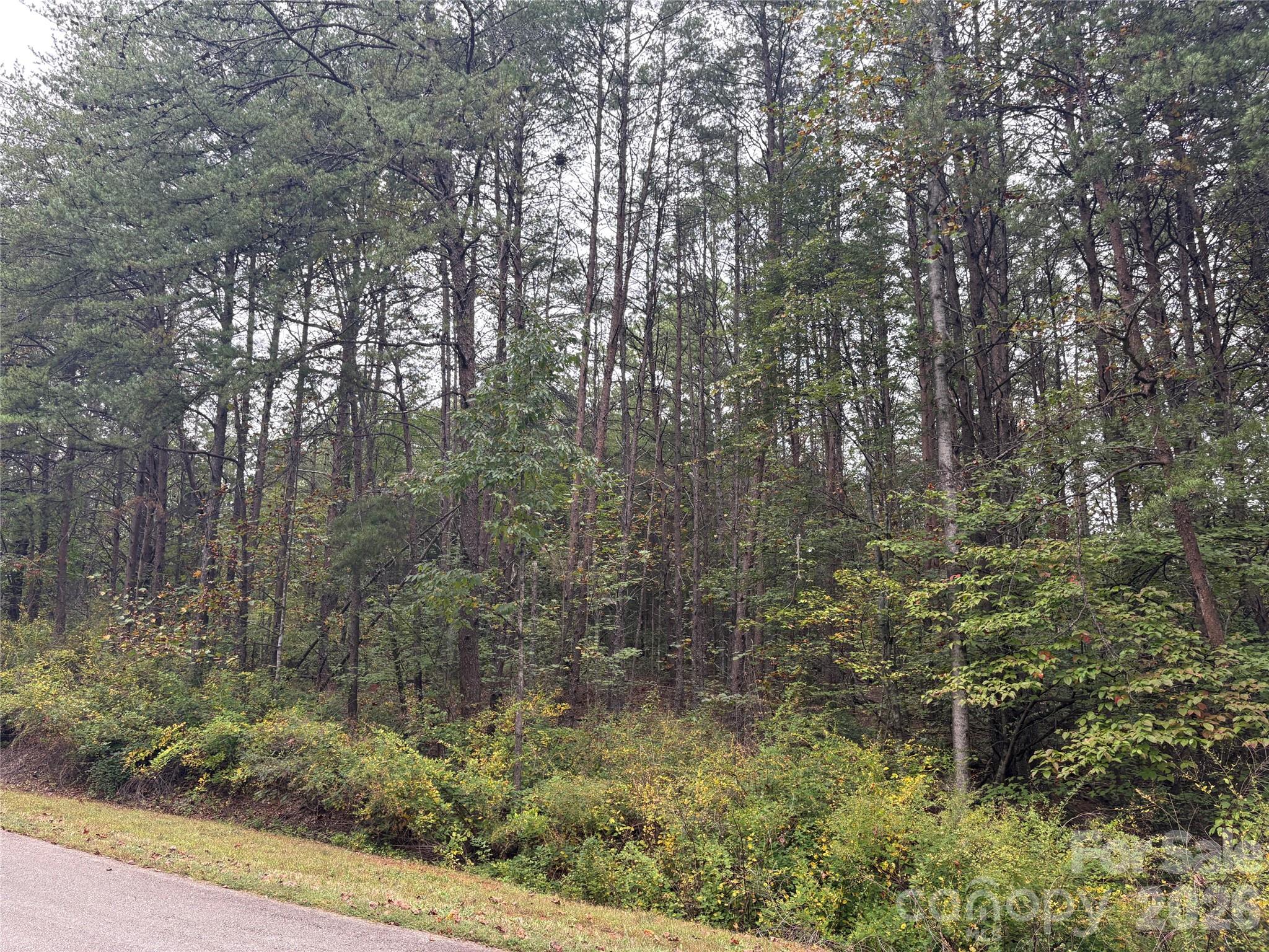 Lot at lot 19 Silent Forest Way, Lake Lure, photo 4 of 6