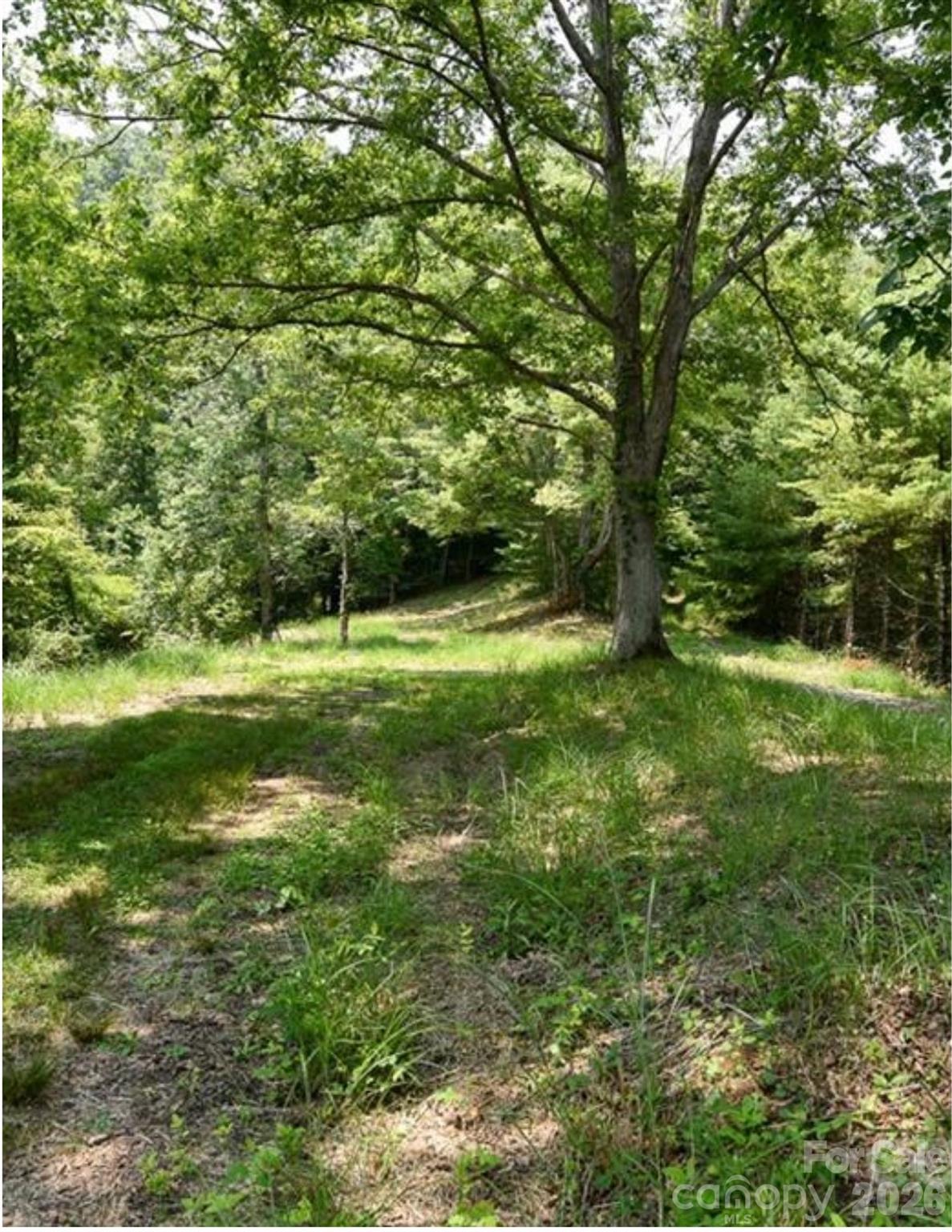 Acreage at Lot 2, 4, 9-13, 15, 20-22 The Vines Boulevard, Marshall, photo 2 of 5