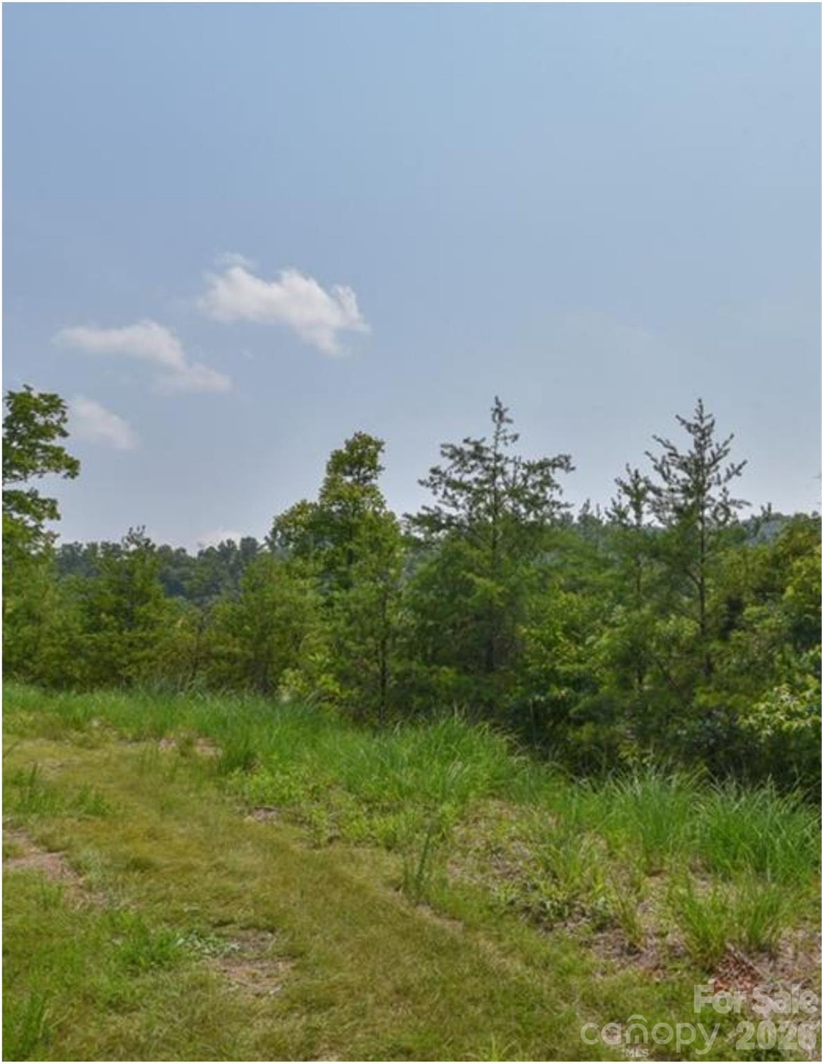 Acreage at Lot 2, 4, 9-13, 15, 20-22 The Vines Boulevard, Marshall, photo 3 of 5