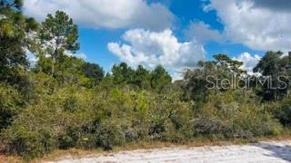 GORGEOUS LOT ON EL DORADO - 916 (BLK 143 LOT 8) EL DORADO DR, INDIAN LAKE ESTATES