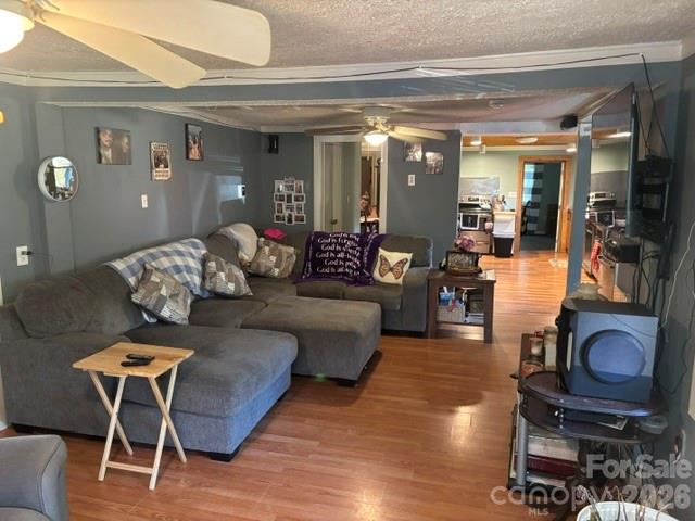 Another view of the living room - 107 Piedmont Road, Belmont