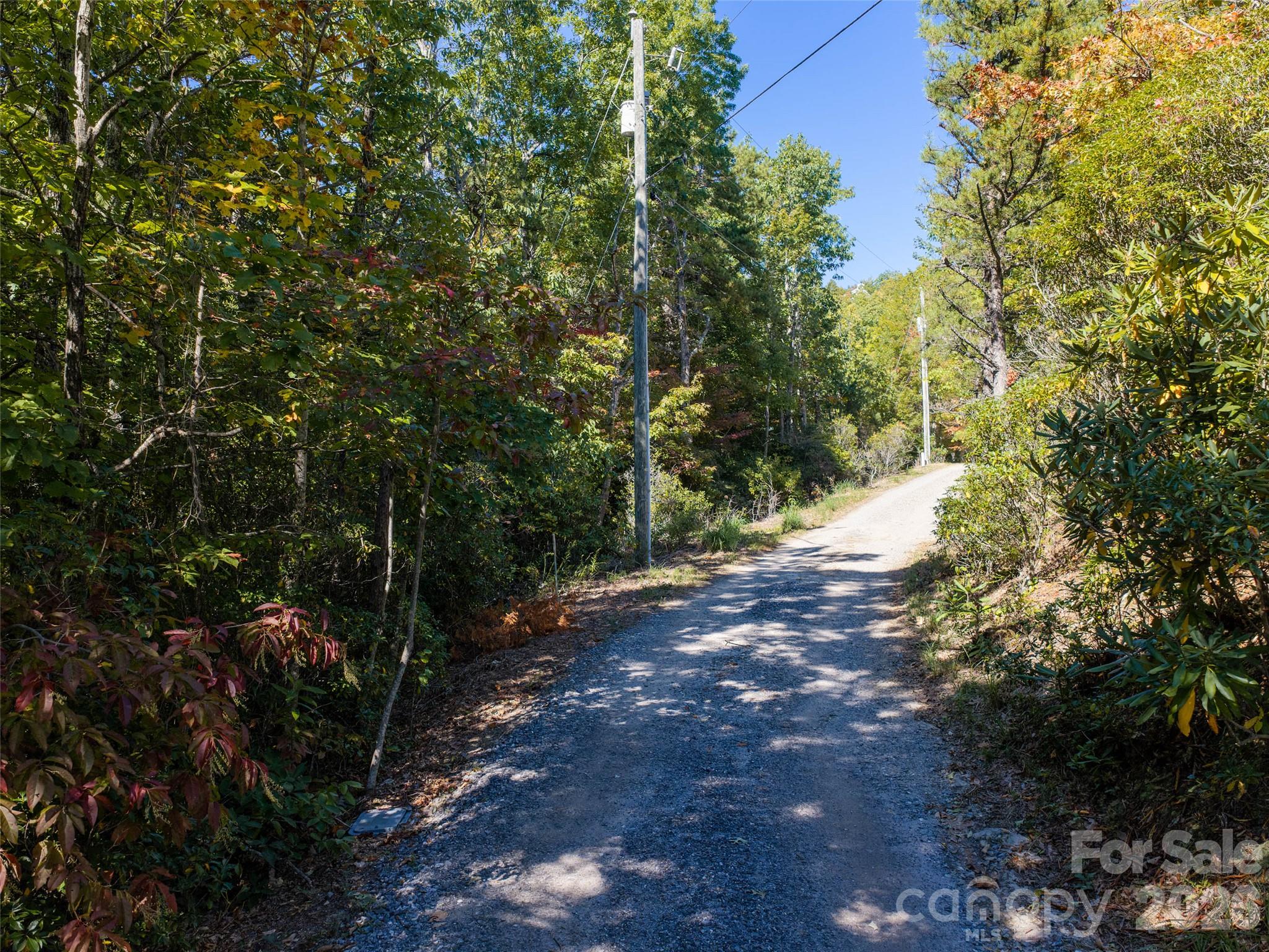 View of Road Frontage approx 192' on Burnt Ridge Trail - TBD Burnt Ridge Trail, Black Mountain