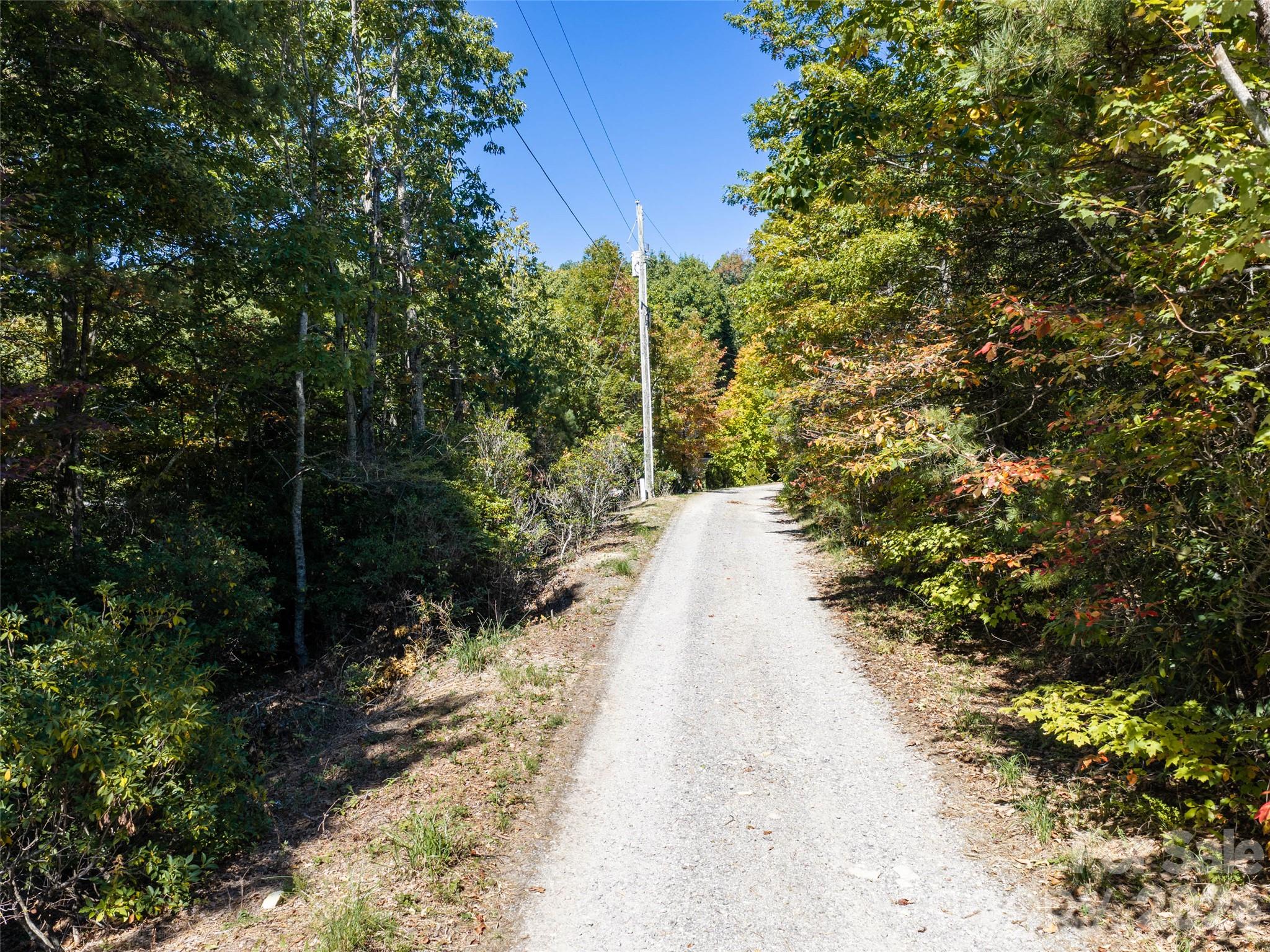 Level Access Along Burnt Ridge Trail, Black Mountain NC - TBD Burnt Ridge Trail, Black Mountain