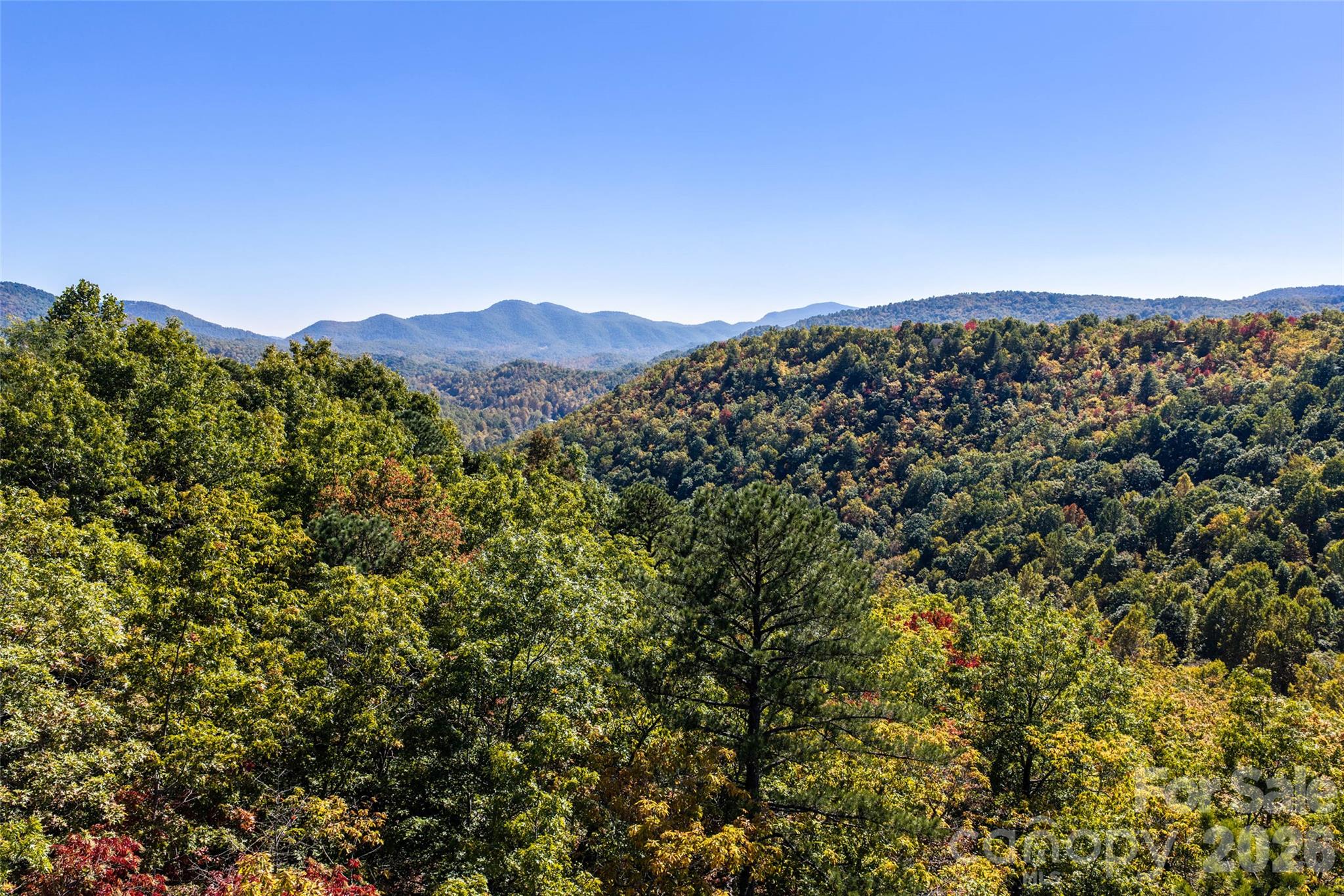 Lot at TBD Burnt Ridge Trail, Black Mountain, photo 12 of 18