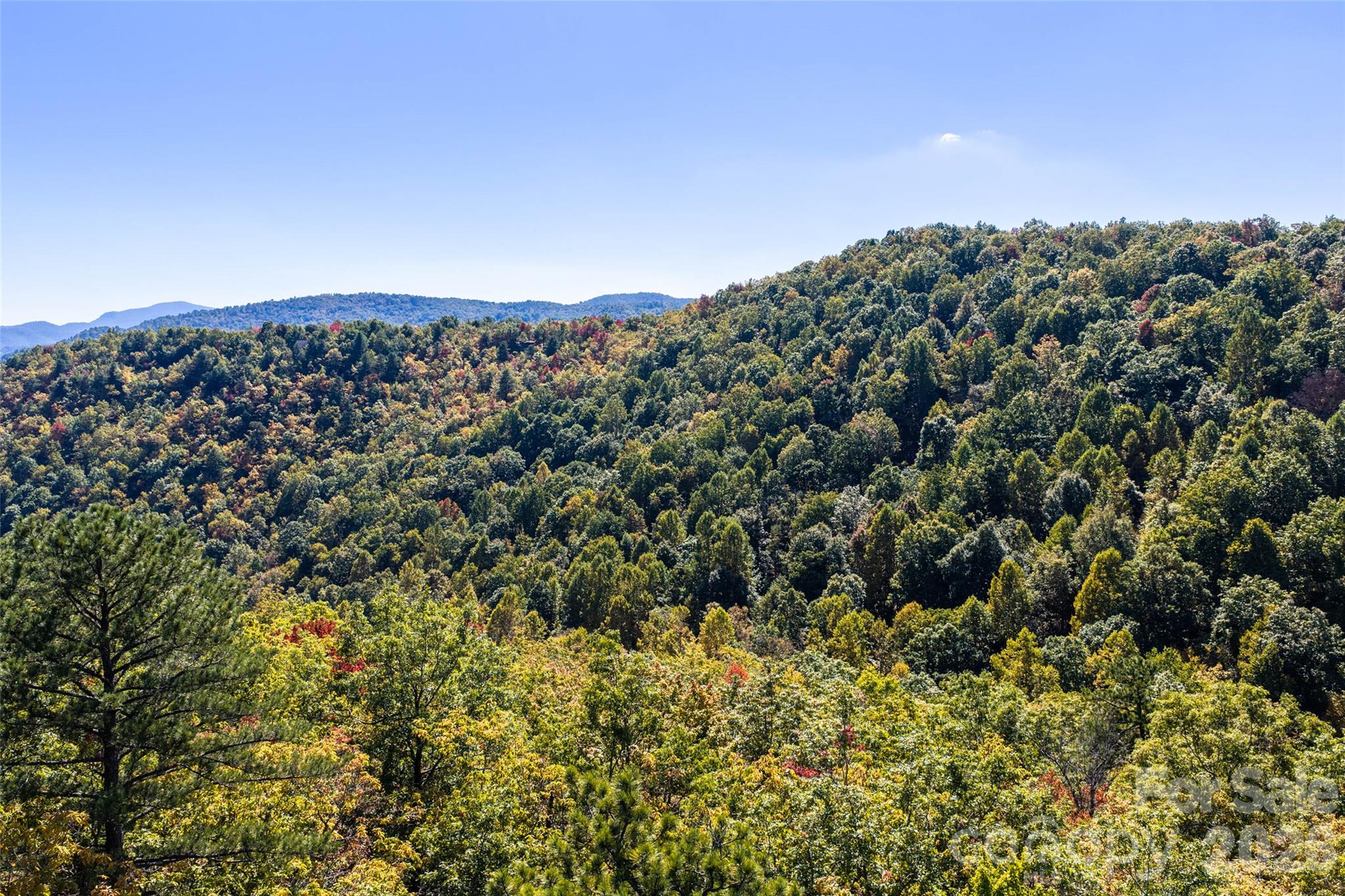 Lot at TBD Burnt Ridge Trail, Black Mountain, photo 13 of 18