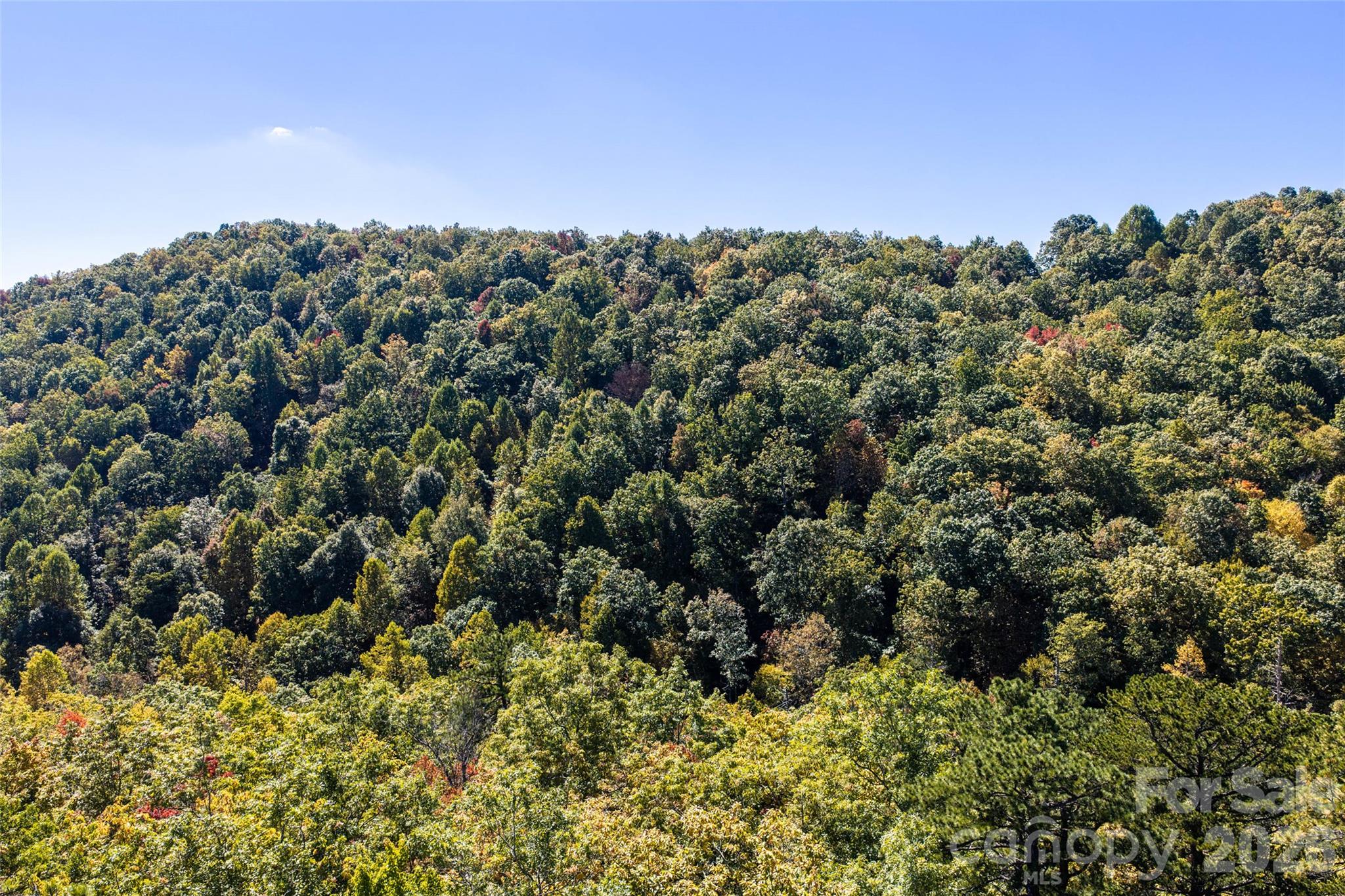 Lot at TBD Burnt Ridge Trail, Black Mountain, photo 14 of 18