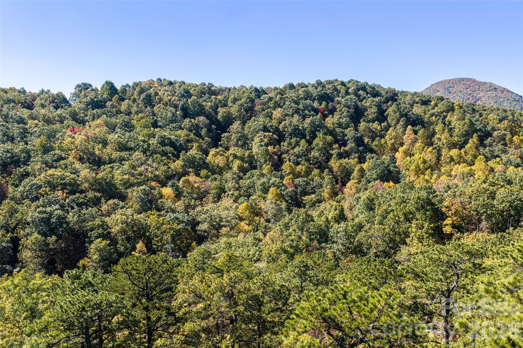 Lot at TBD Burnt Ridge Trail, Black Mountain, photo 15 of 18