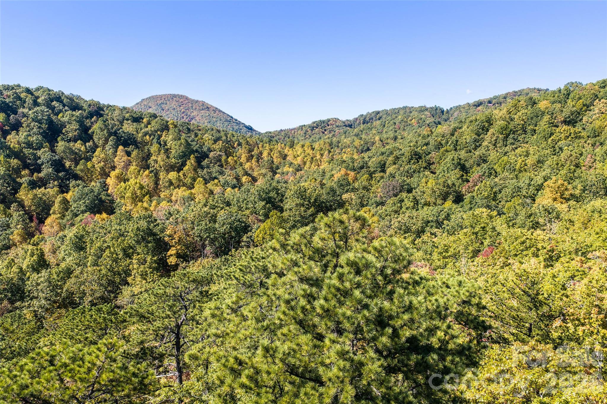 Lot at TBD Burnt Ridge Trail, Black Mountain, photo 16 of 18