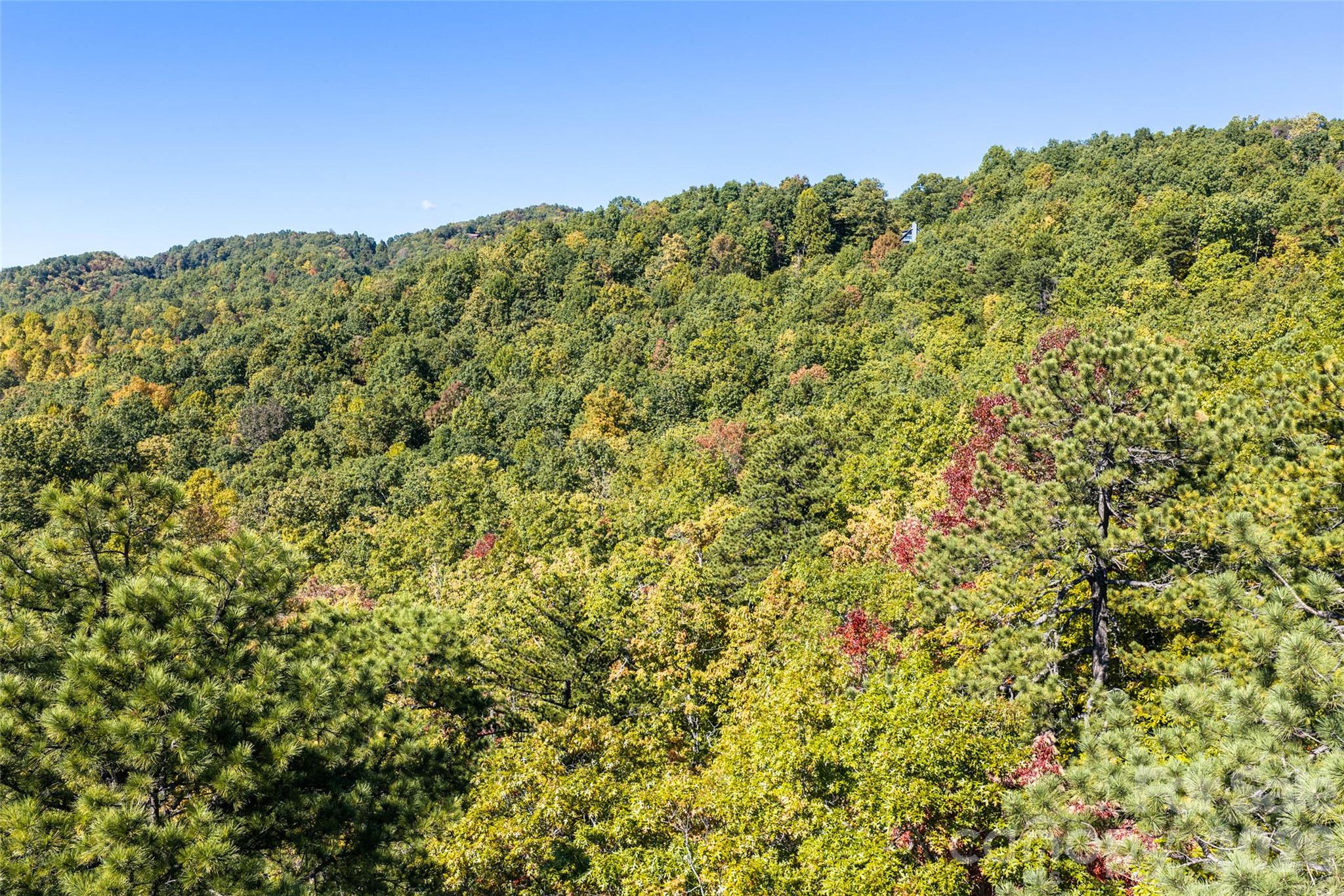 Lot at TBD Burnt Ridge Trail, Black Mountain, photo 17 of 18