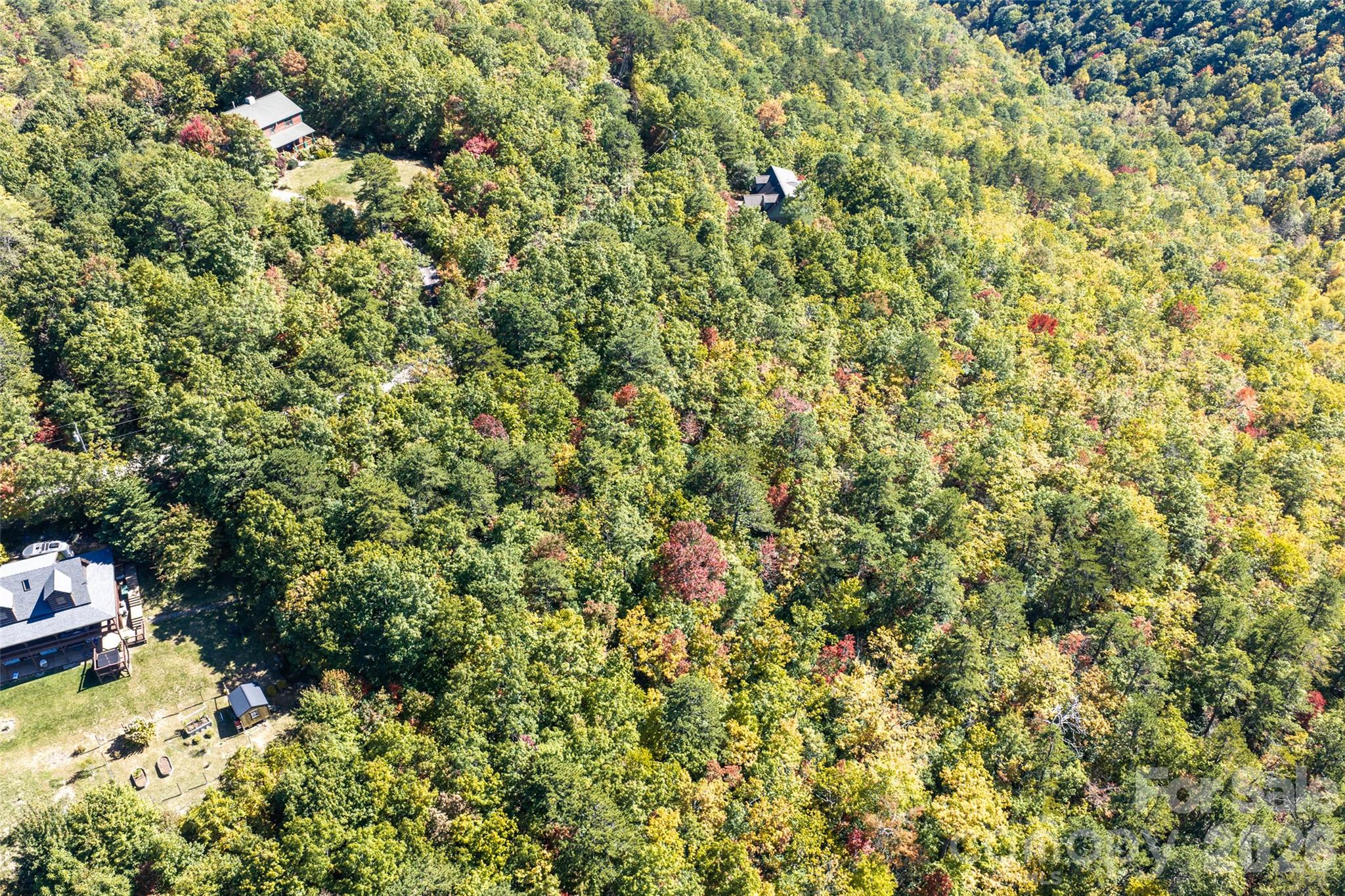 Lot at TBD Burnt Ridge Trail, Black Mountain, photo 18 of 18
