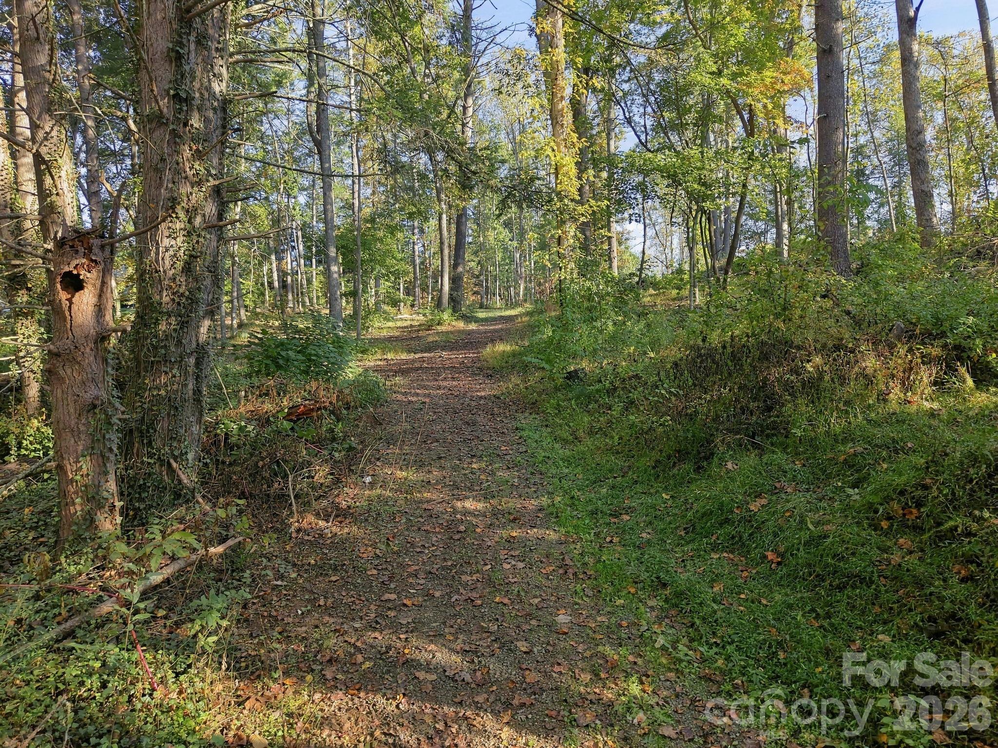 99999 Cane Creek Road