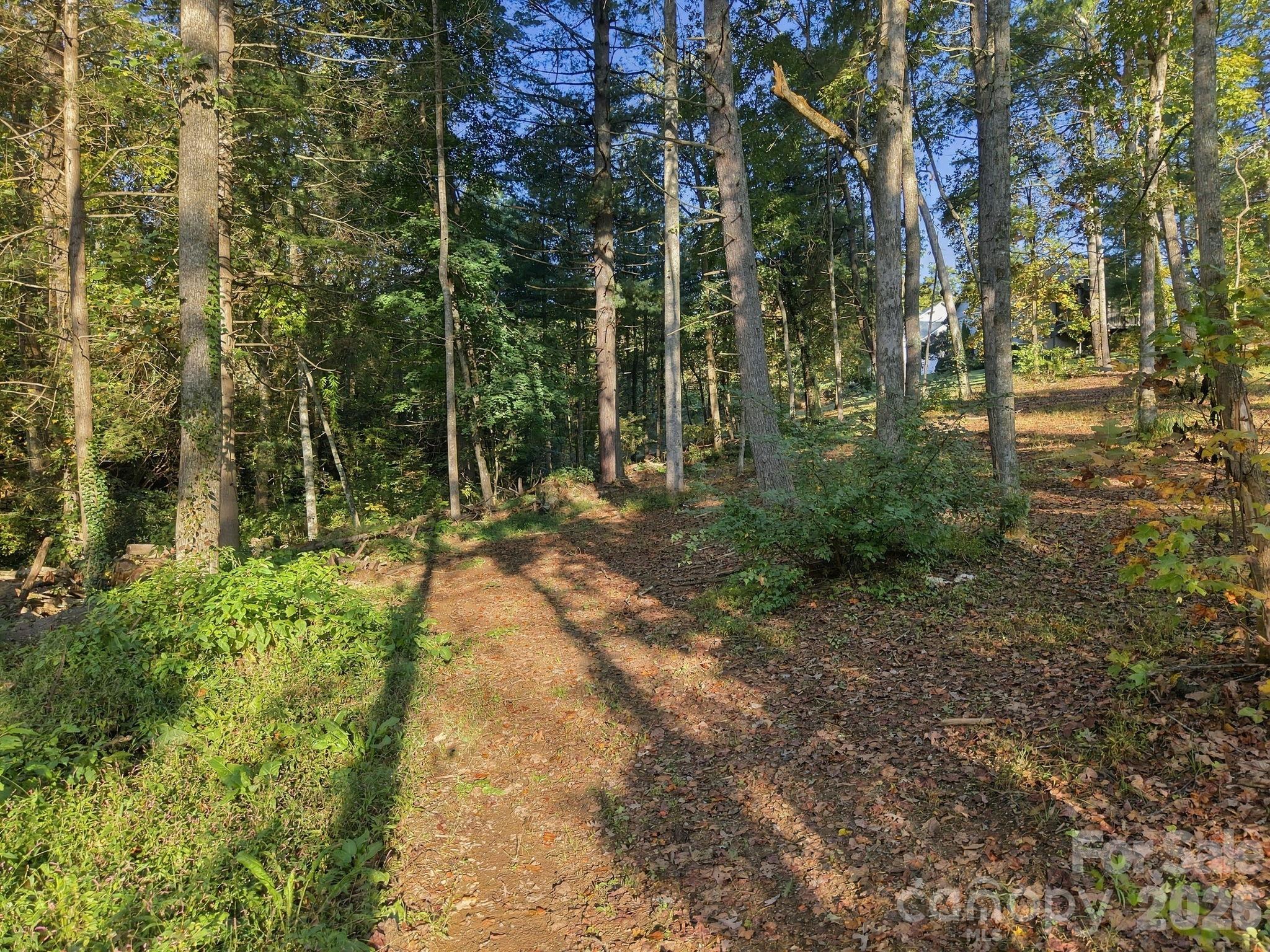 Gentle terrain - 99999 Cane Creek Road, Fletcher