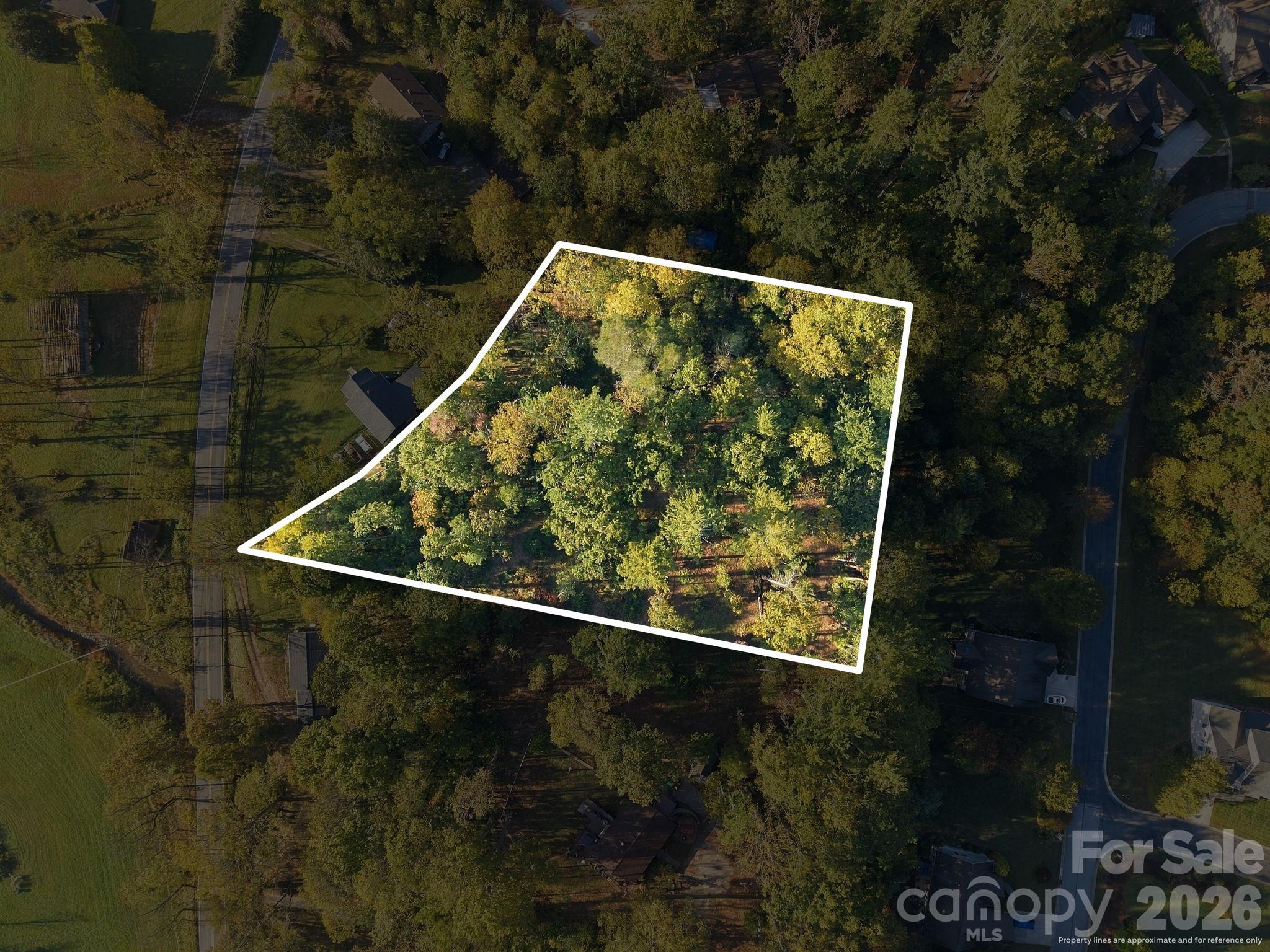 General outline of property (not a survey) - 99999 Cane Creek Road, Fletcher