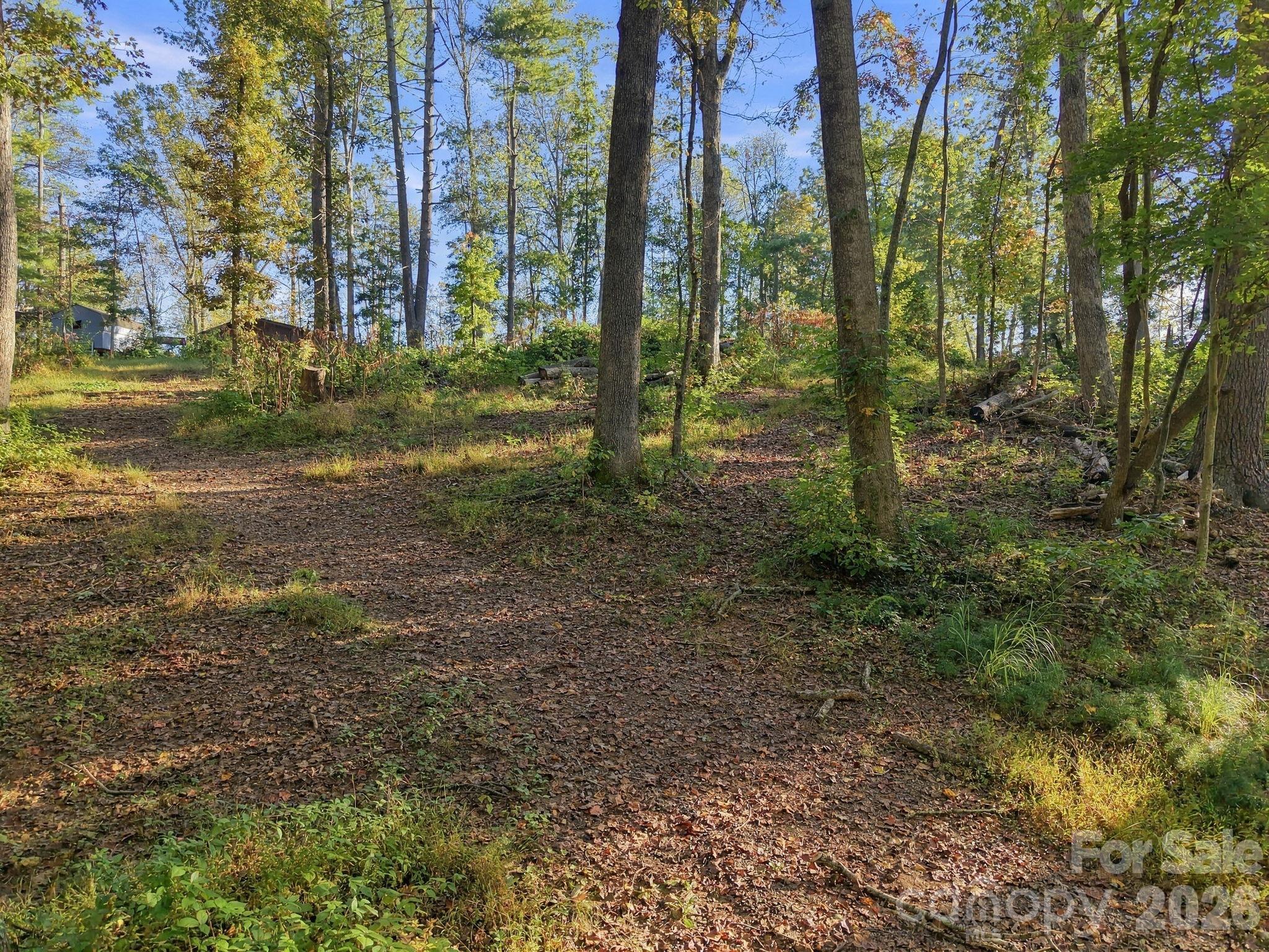 Lot at 99999 Cane Creek Road, Fletcher, photo 7 of 18