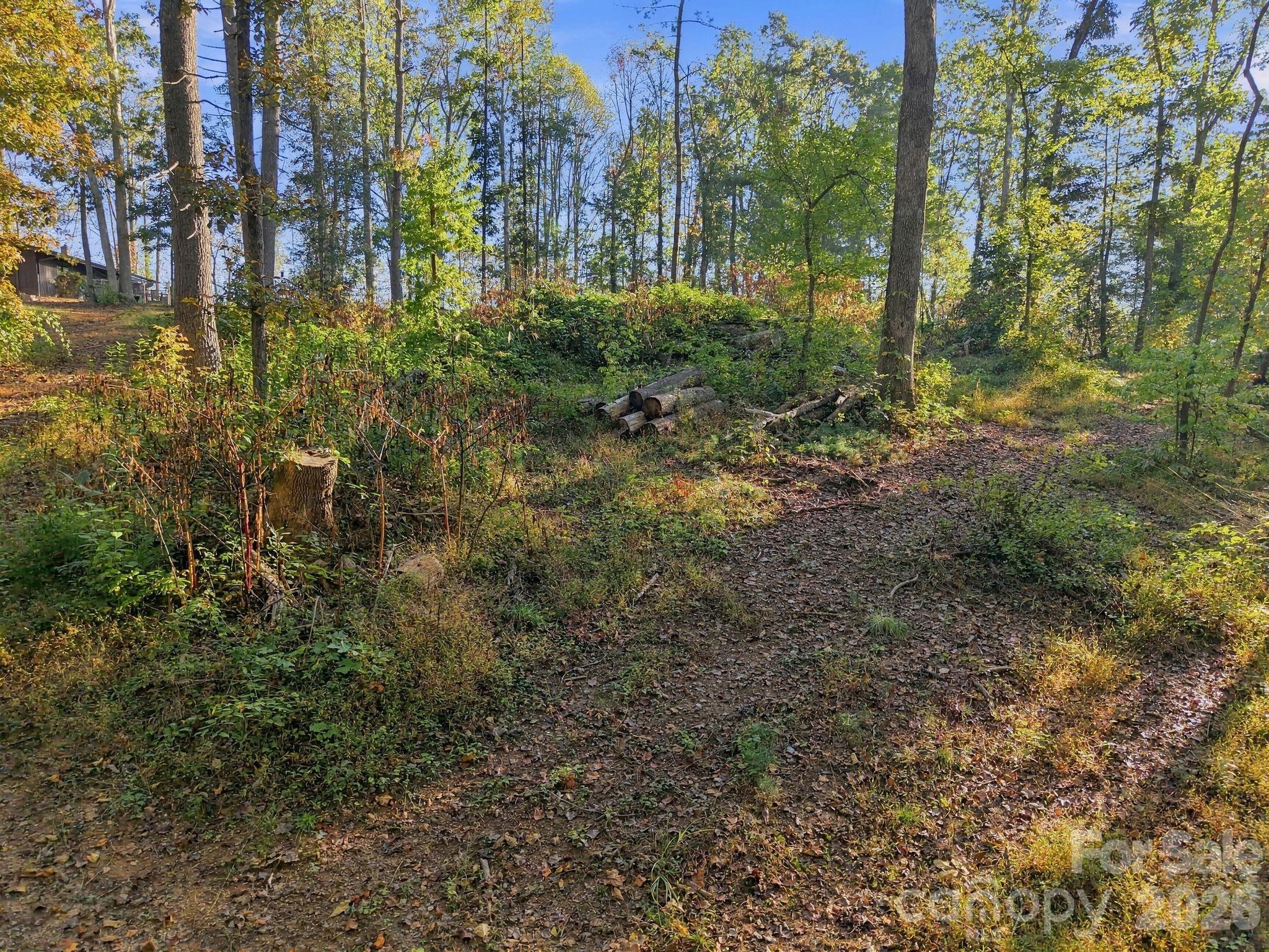 Lot at 99999 Cane Creek Road, Fletcher, photo 11 of 18