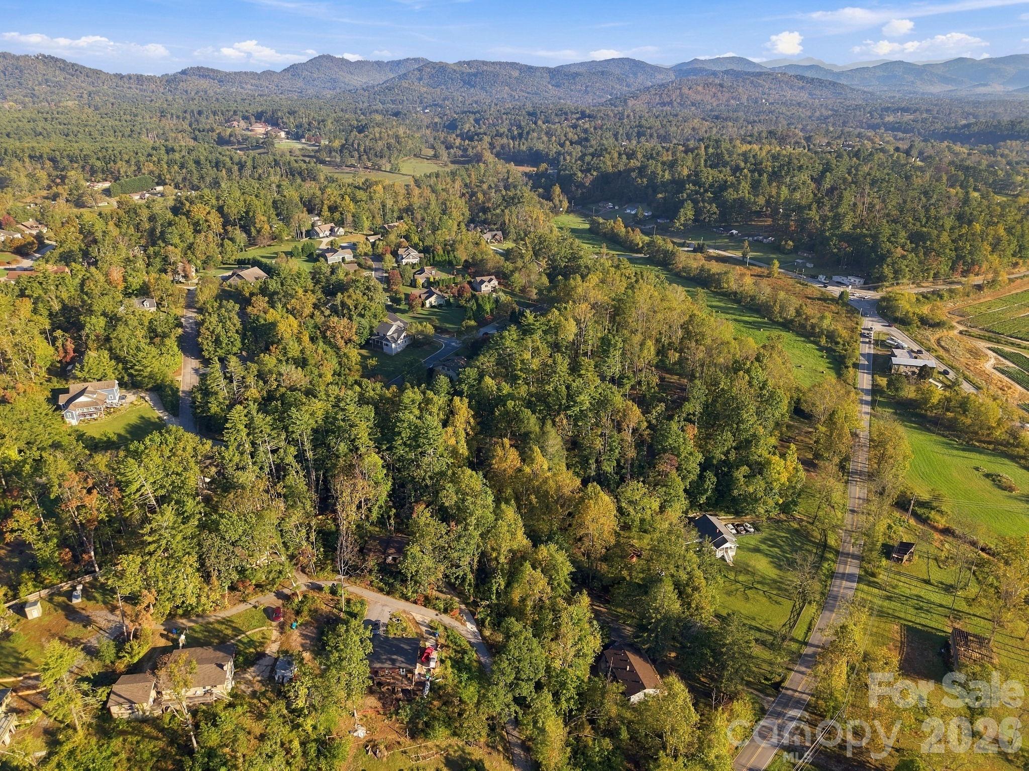Lot at 99999 Cane Creek Road, Fletcher, photo 12 of 18