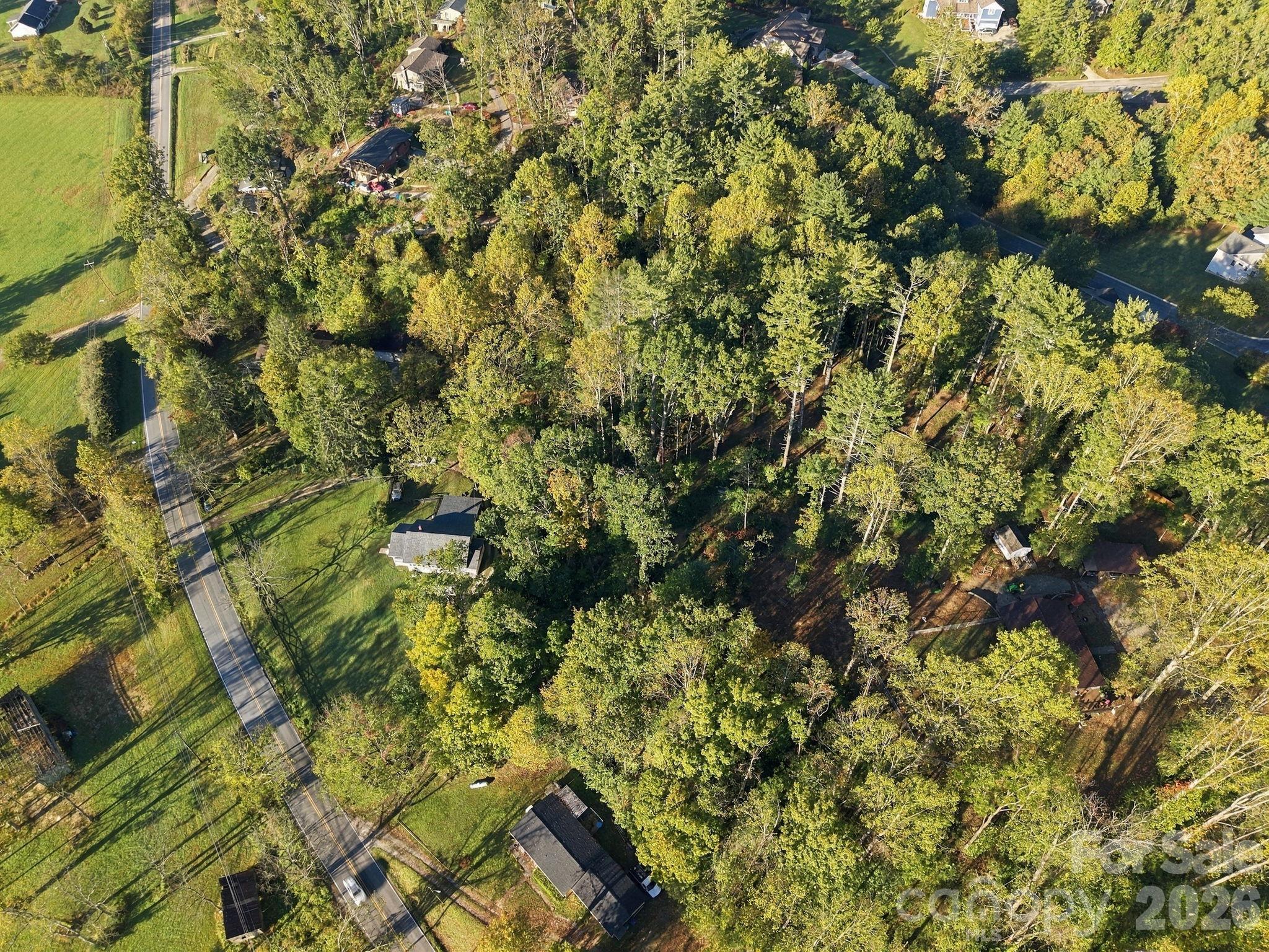 Lot at 99999 Cane Creek Road, Fletcher, photo 15 of 18