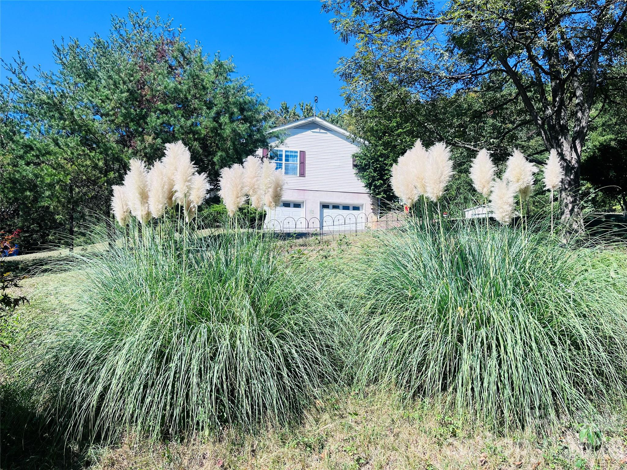 Well established landscape - 85 Hidden Meadow Drive, Candler