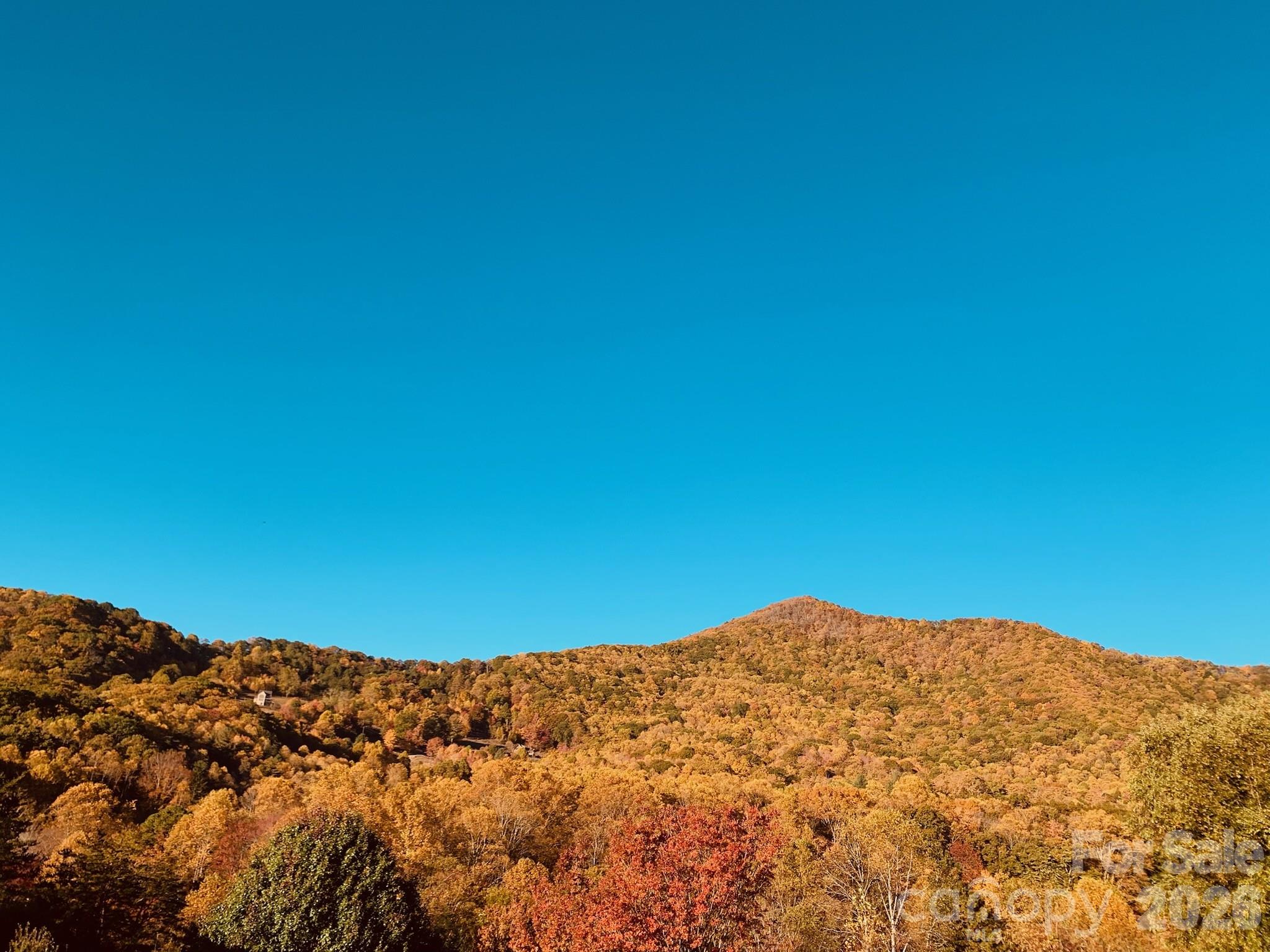 Fall View - 85 Hidden Meadow Drive, Candler