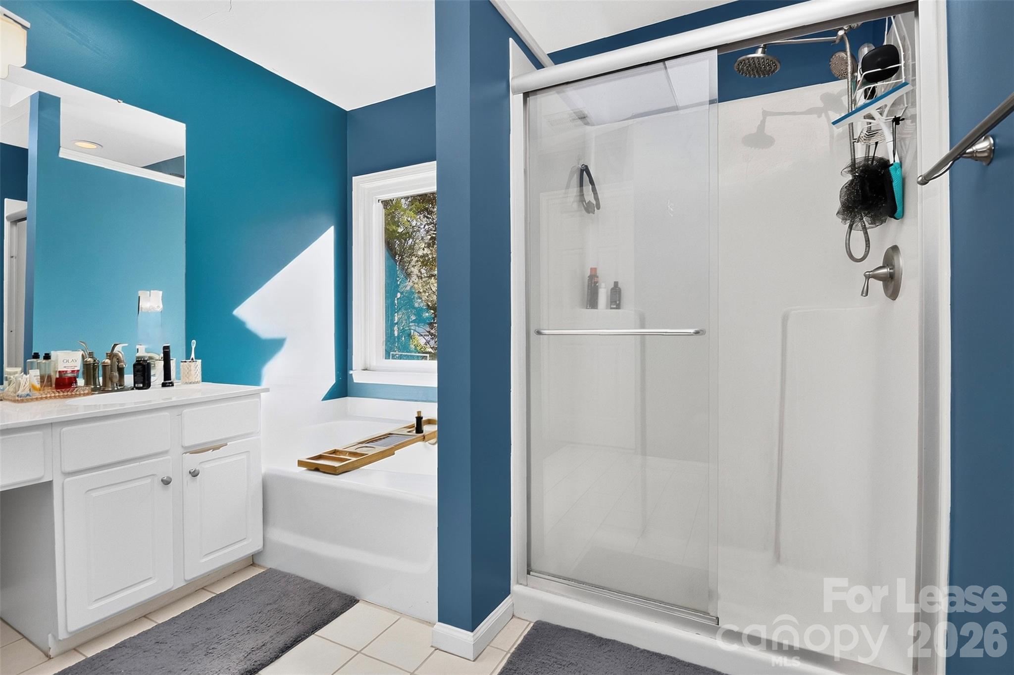 Primary Bathroom - 8437 Bridgestone Drive, Huntersville