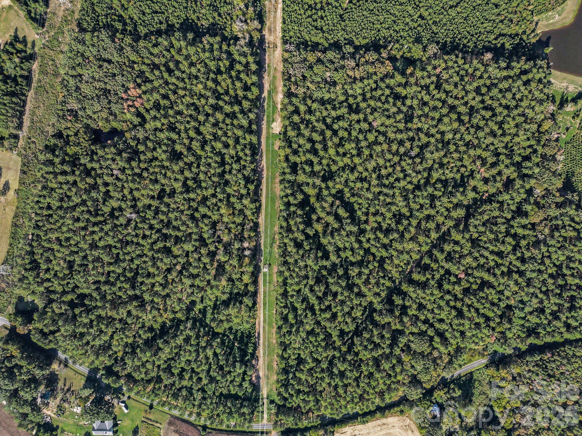 Acreage at Lot 1 Griffin Greene Boulevard, Oakboro, photo 3 of 5