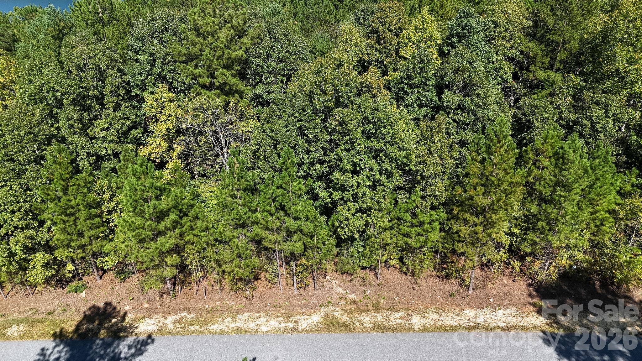 Lot at 3132 Panoramic Vista Court NE, Connelly Springs, photo 16 of 16