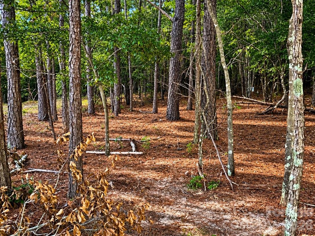 Lot at TBD/ LOT B Beaker Road, Heath Springs, photo 3 of 4