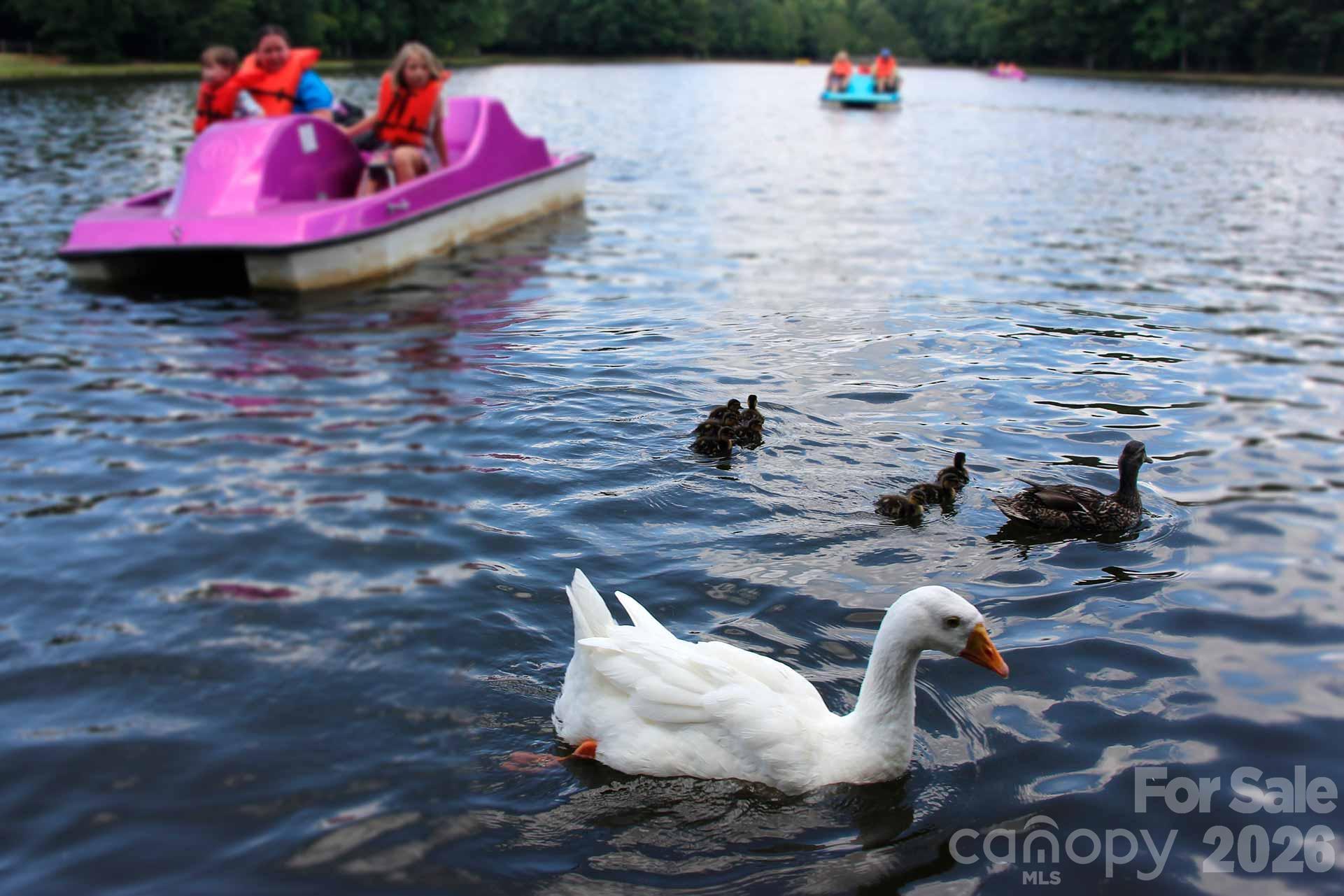 Discover outdoor recreation and family attractions at Dan Nicholas Park - 817 Mitchell Avenue, Salisbury