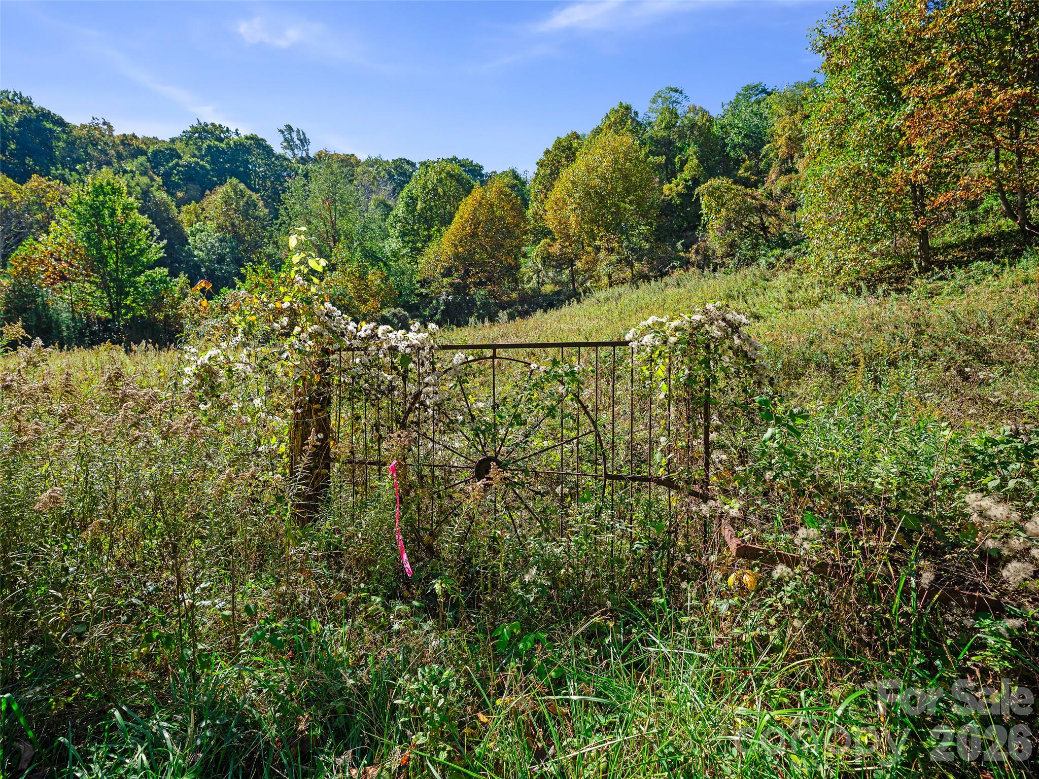 Acreage at TBD Chestnut Grove Road, Spruce Pine, photo 6 of 35