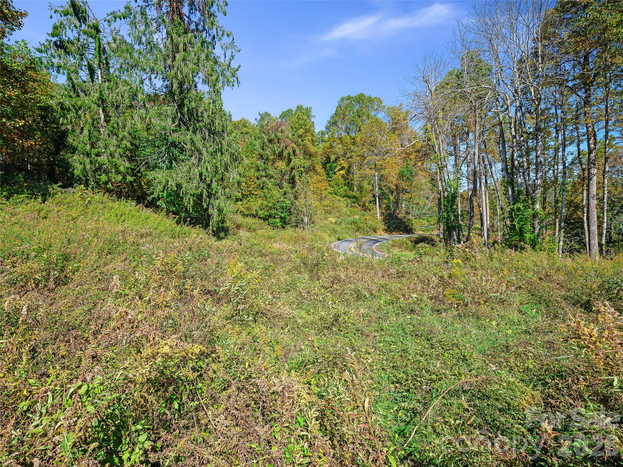 Acreage at TBD Chestnut Grove Road, Spruce Pine, photo 7 of 35