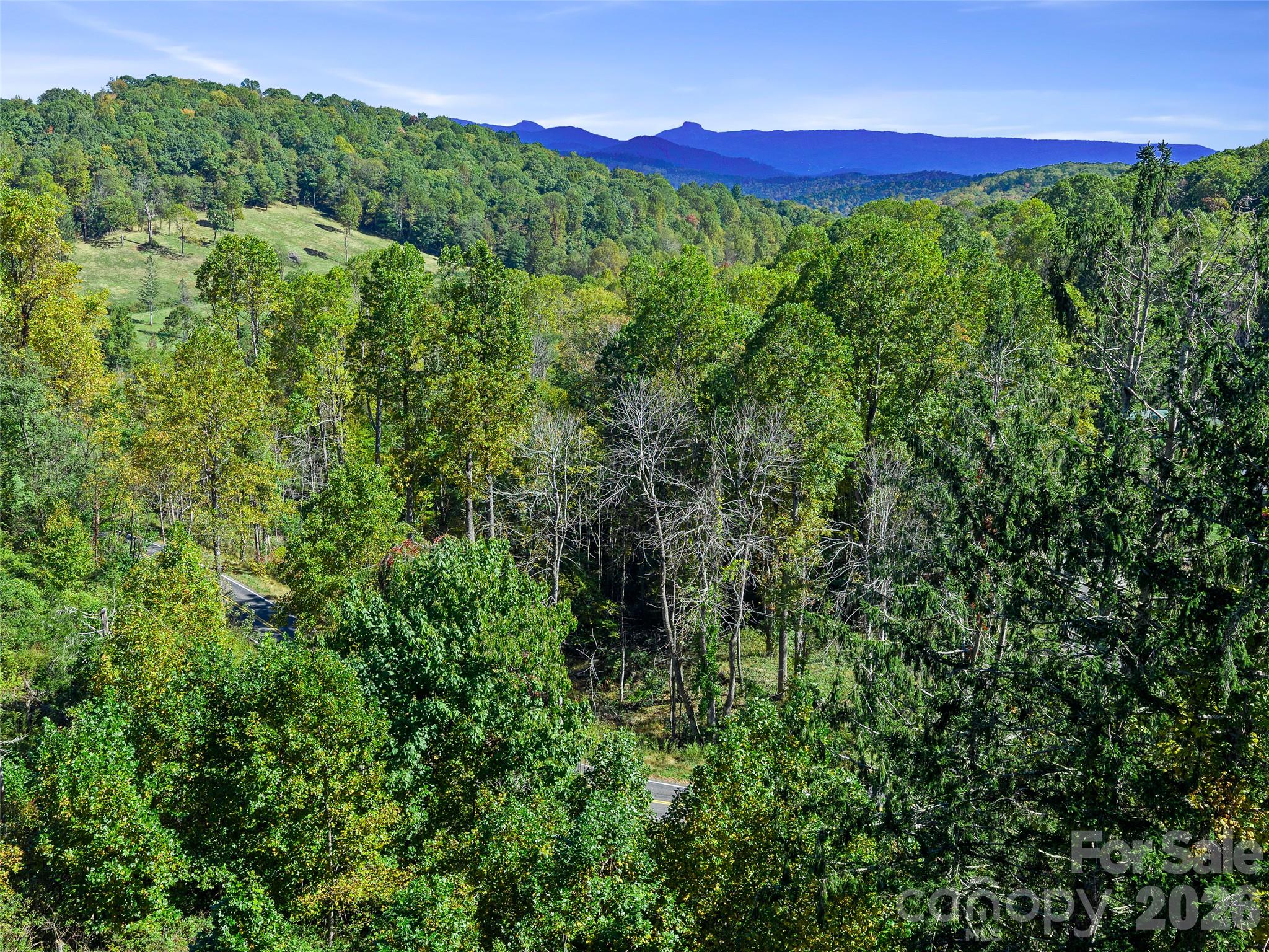 Acreage at TBD Chestnut Grove Road, Spruce Pine, photo 9 of 35
